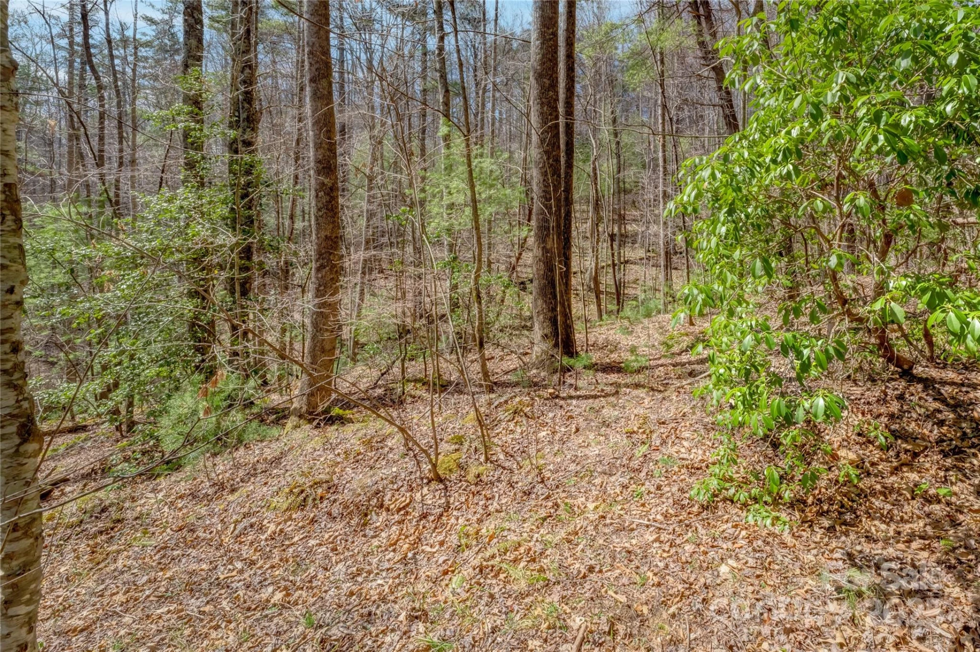 205 Claridge Way - Photo 27