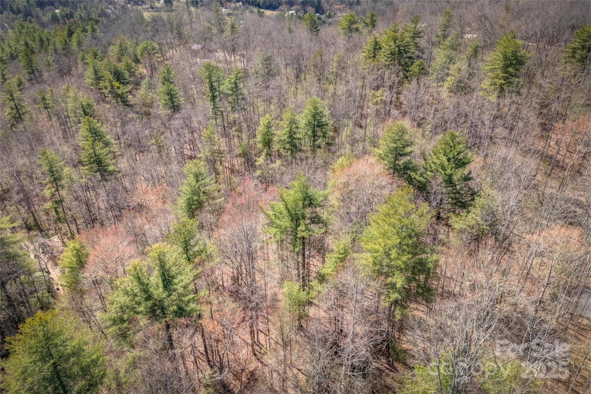 205 Claridge Way - Photo 10