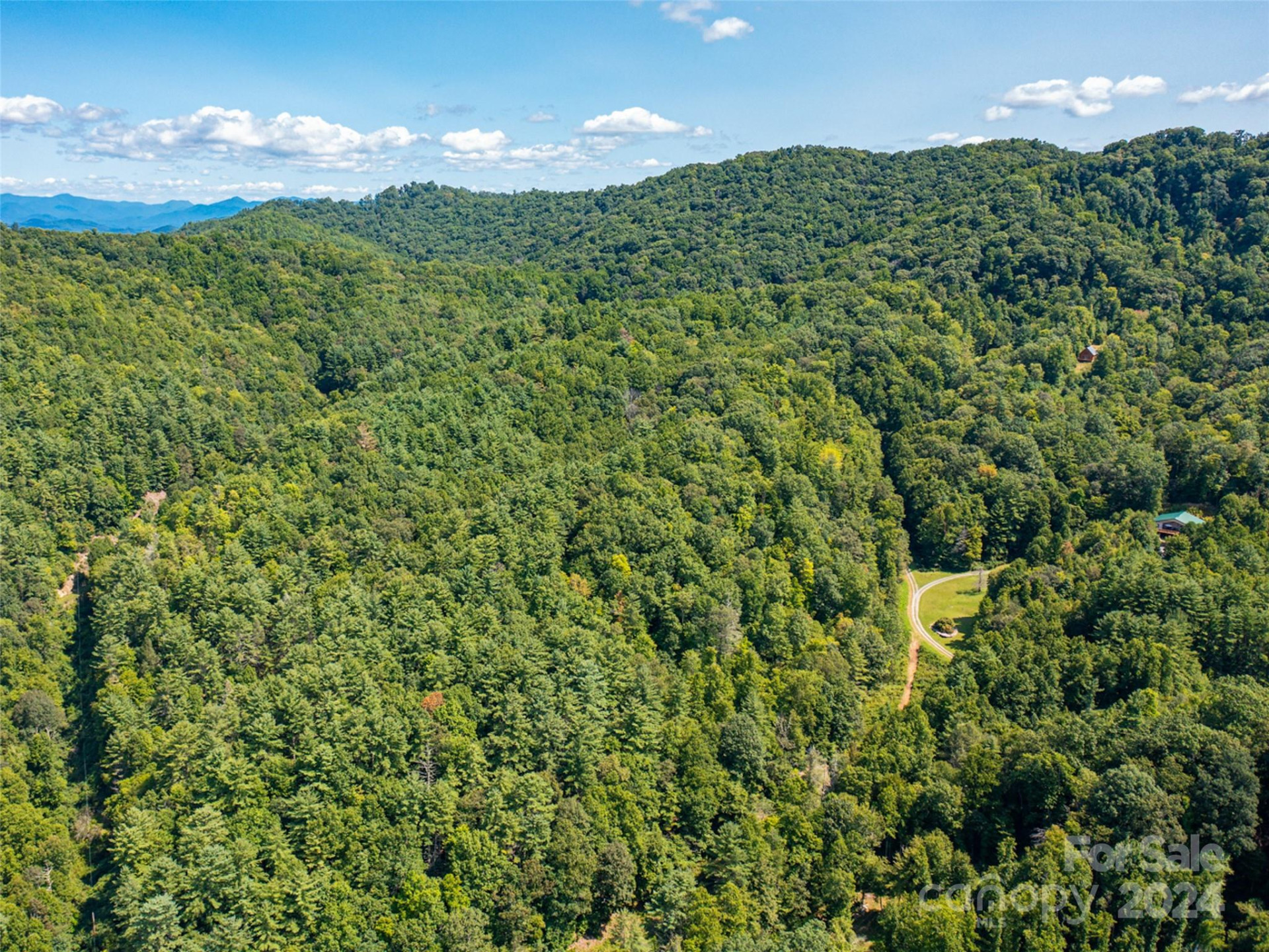 00000 Meadow Fork School Road - Photo 2