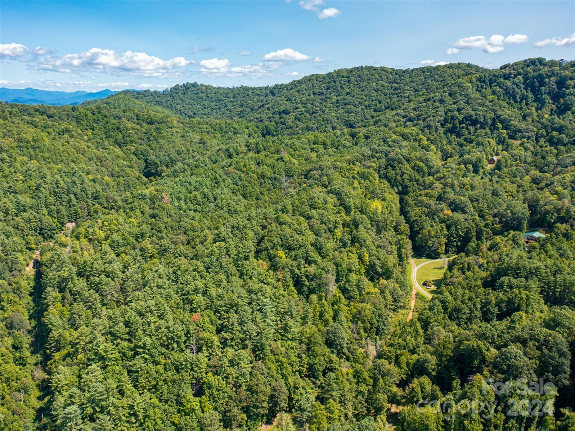 00000 Meadow Fork School Road - Photo 2