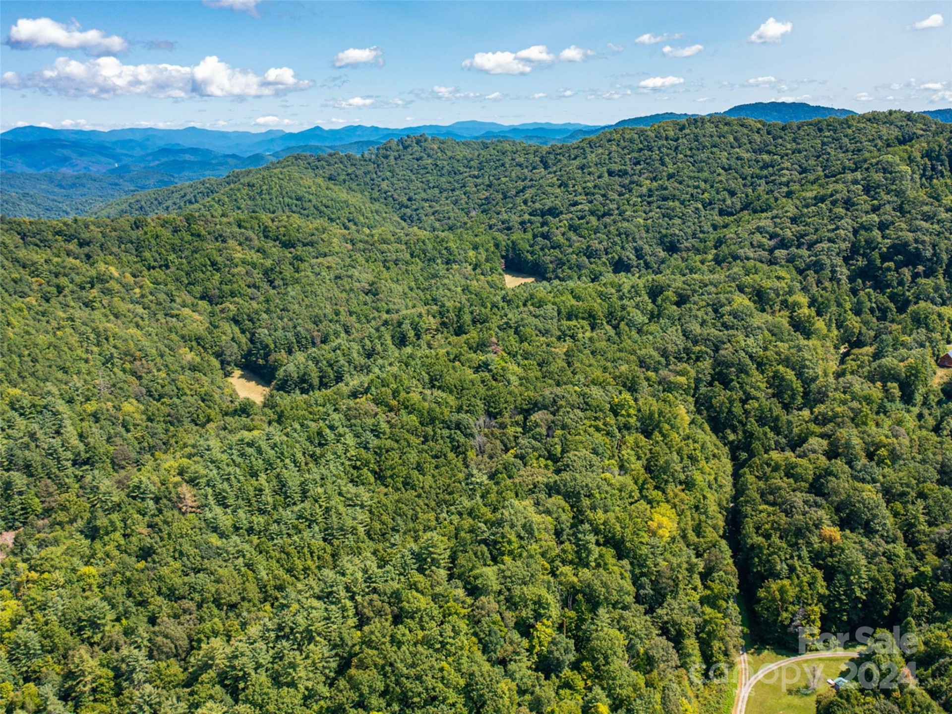 00000 Meadow Fork School Road - Photo 12