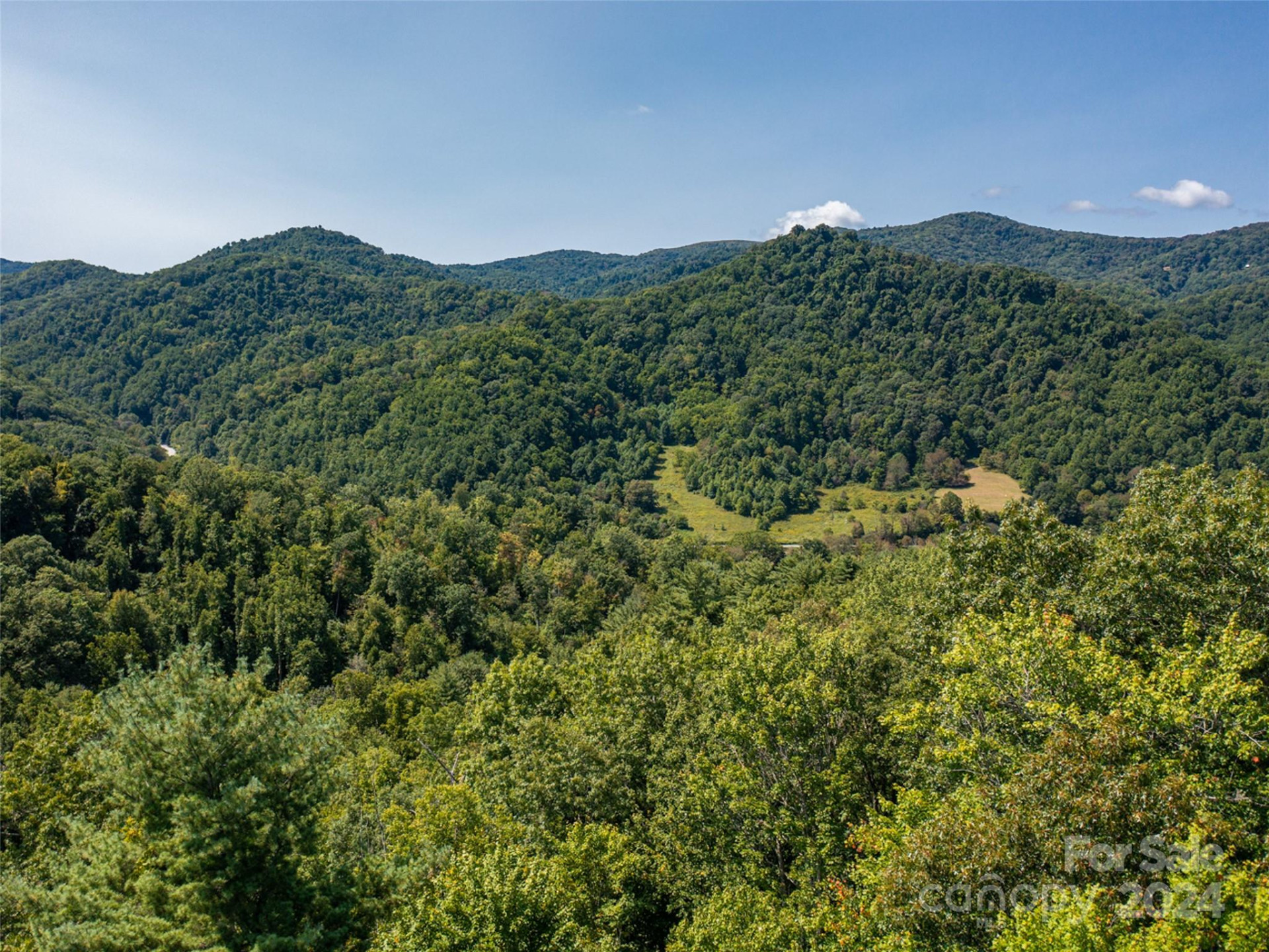 00000 Meadow Fork School Road - Photo 13