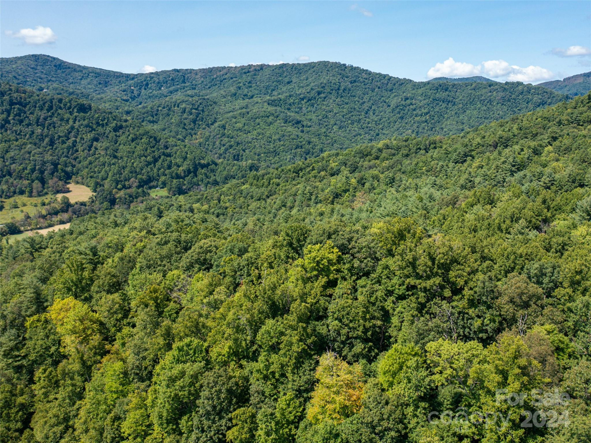 00000 Meadow Fork School Road - Photo 14