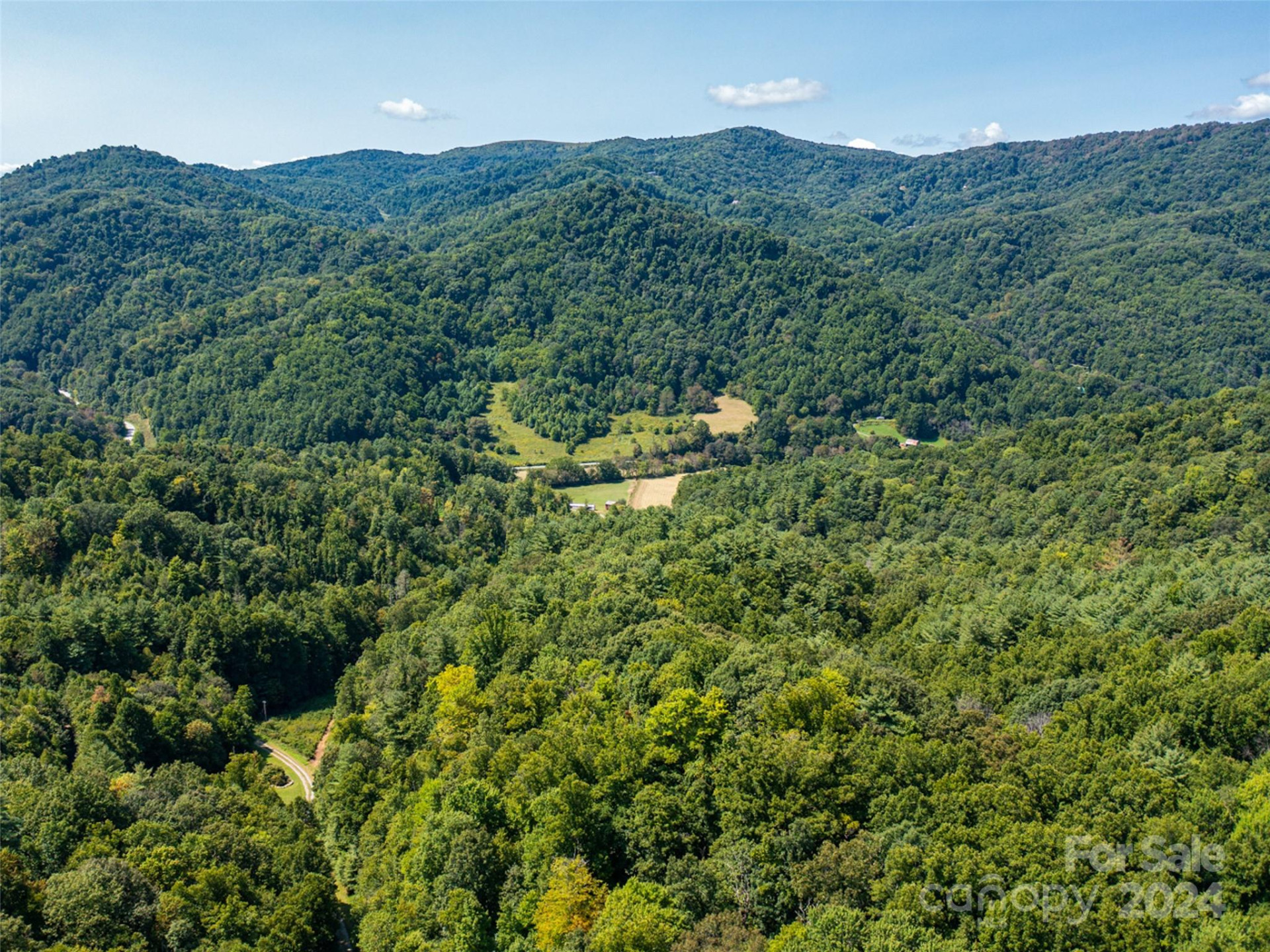 00000 Meadow Fork School Road - Photo 15