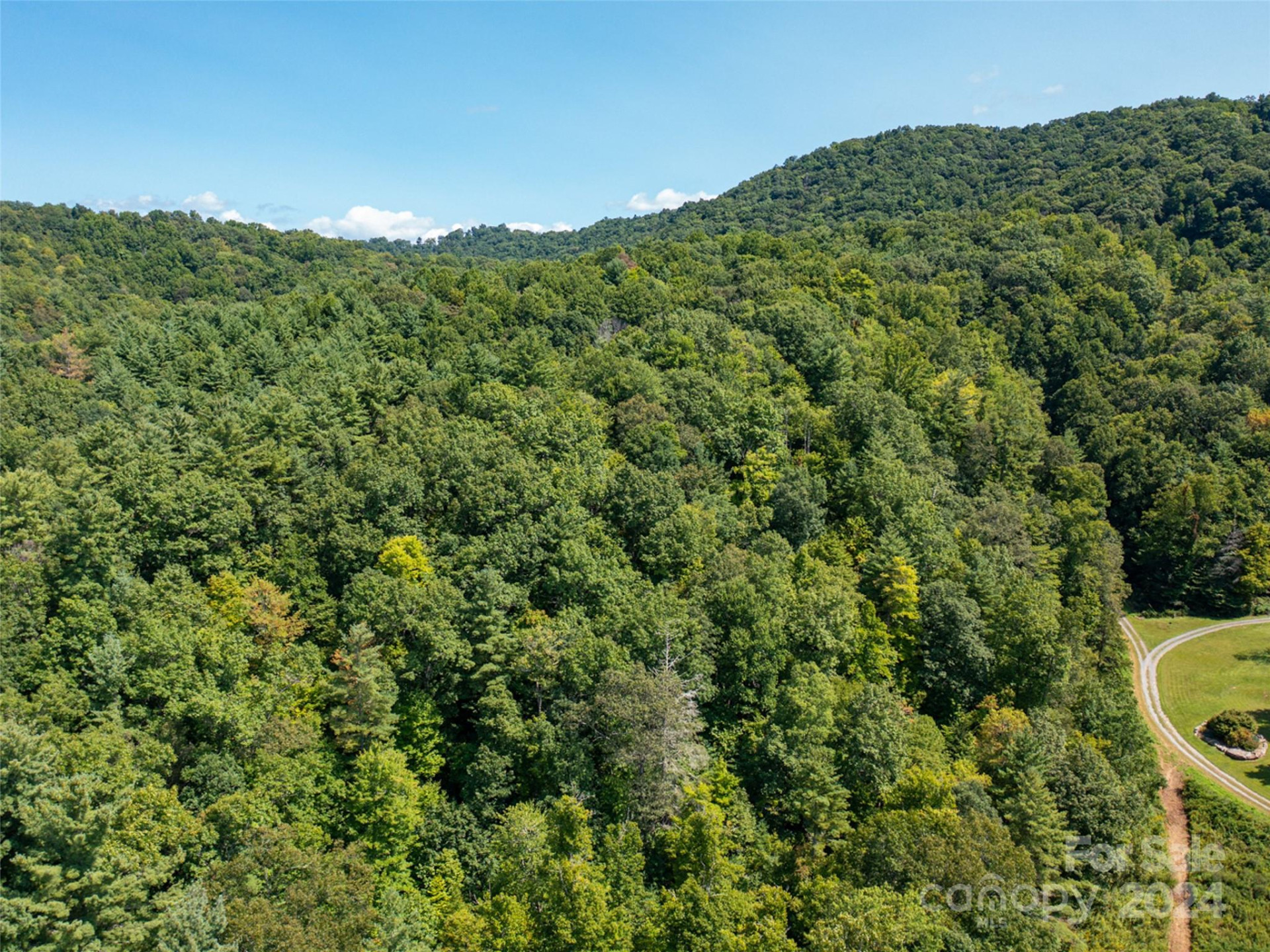 00000 Meadow Fork School Road - Photo 16