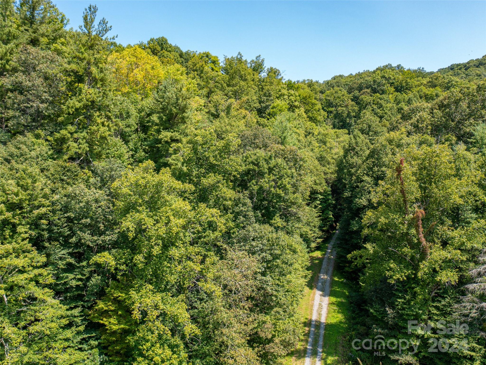 00000 Meadow Fork School Road - Photo 17