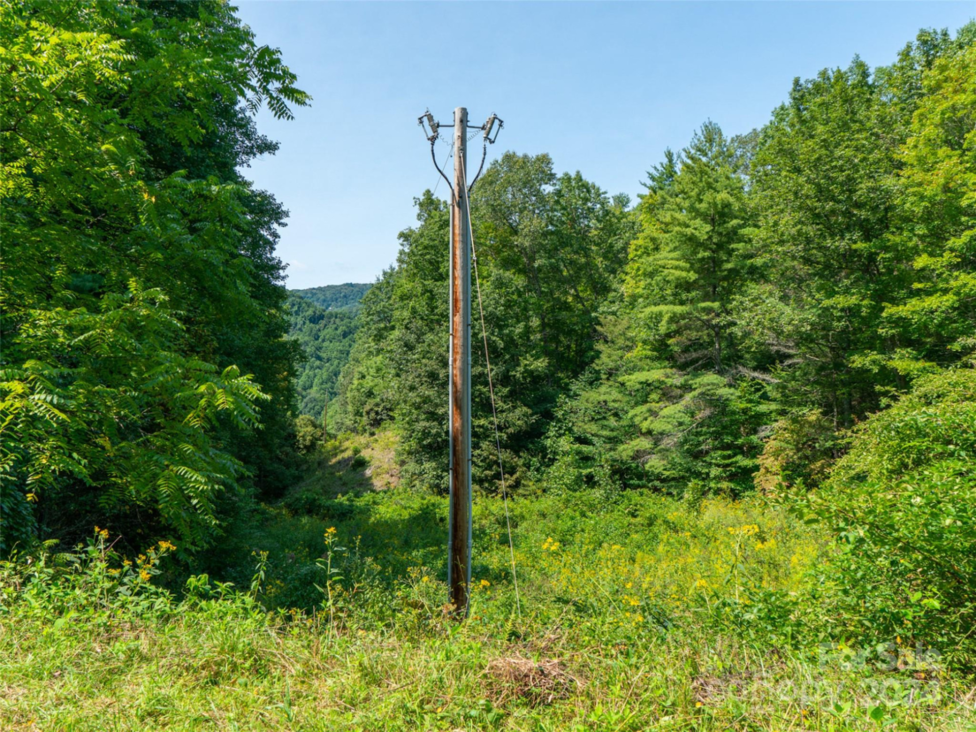00000 Meadow Fork School Road - Photo 18