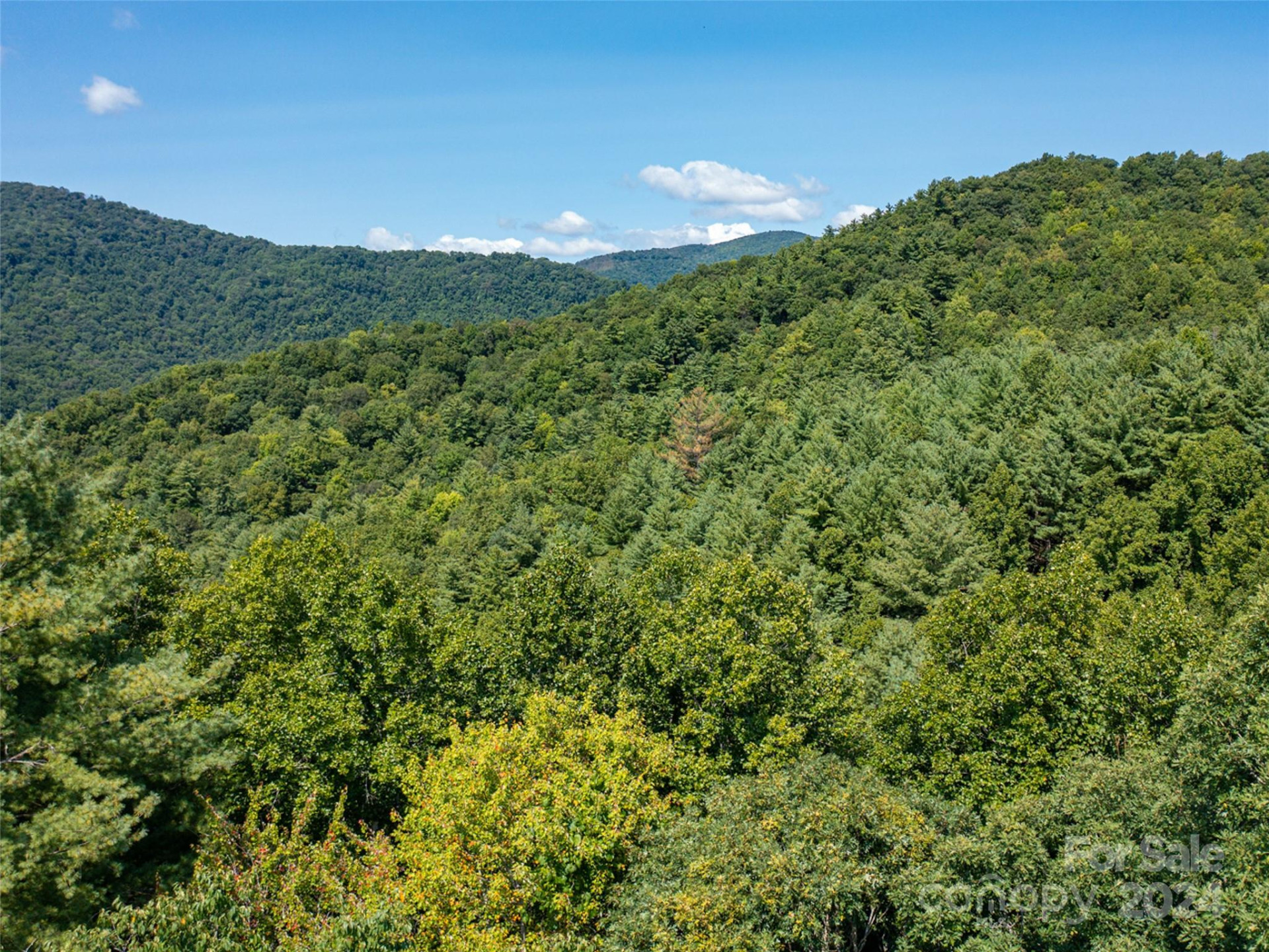 00000 Meadow Fork School Road - Photo 20