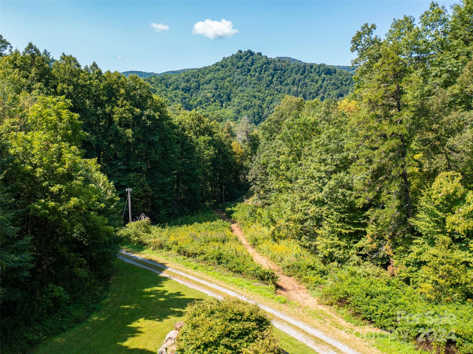 00000 Meadow Fork School Road - Photo 3