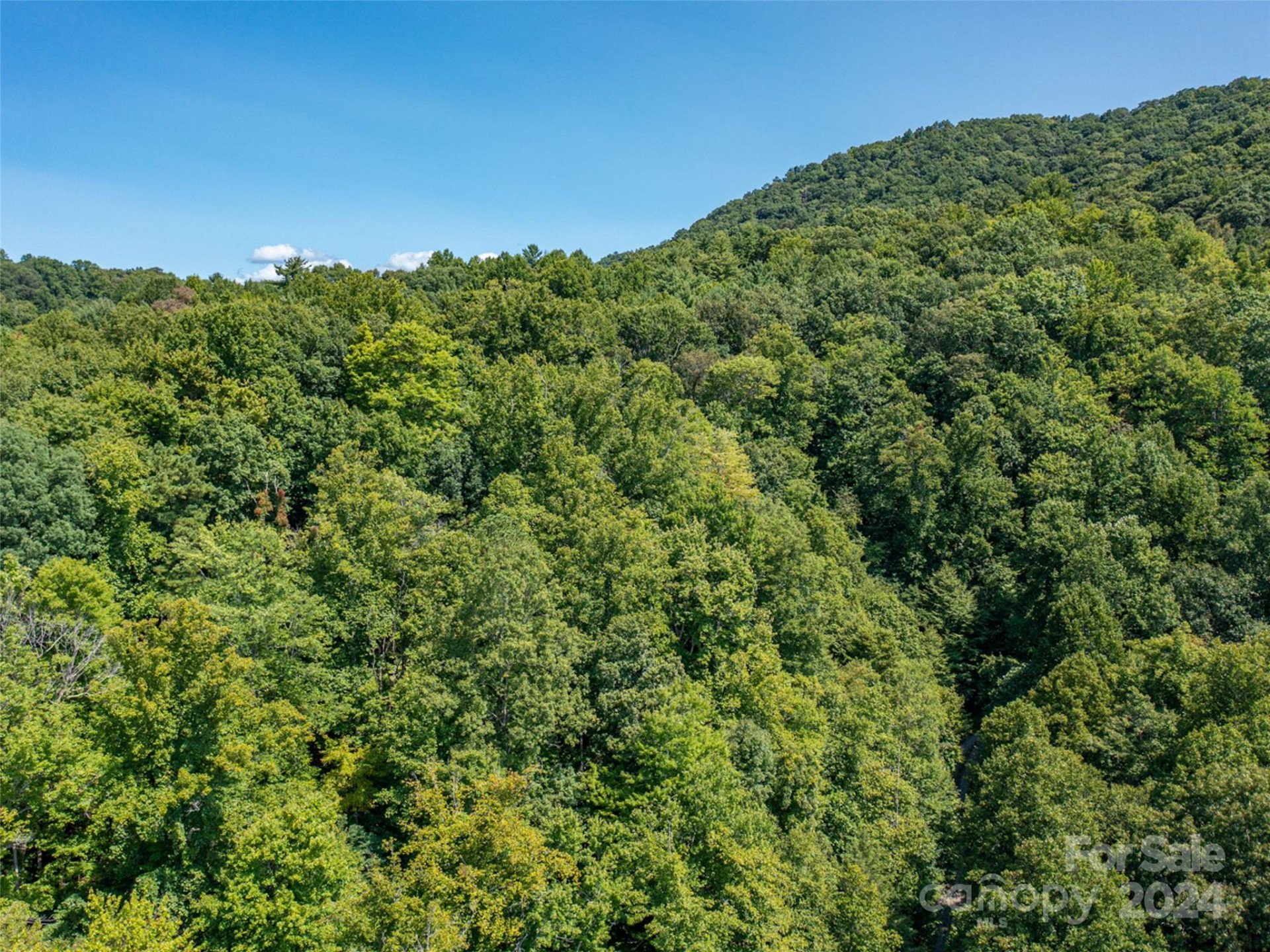 00000 Meadow Fork School Road - Photo 21