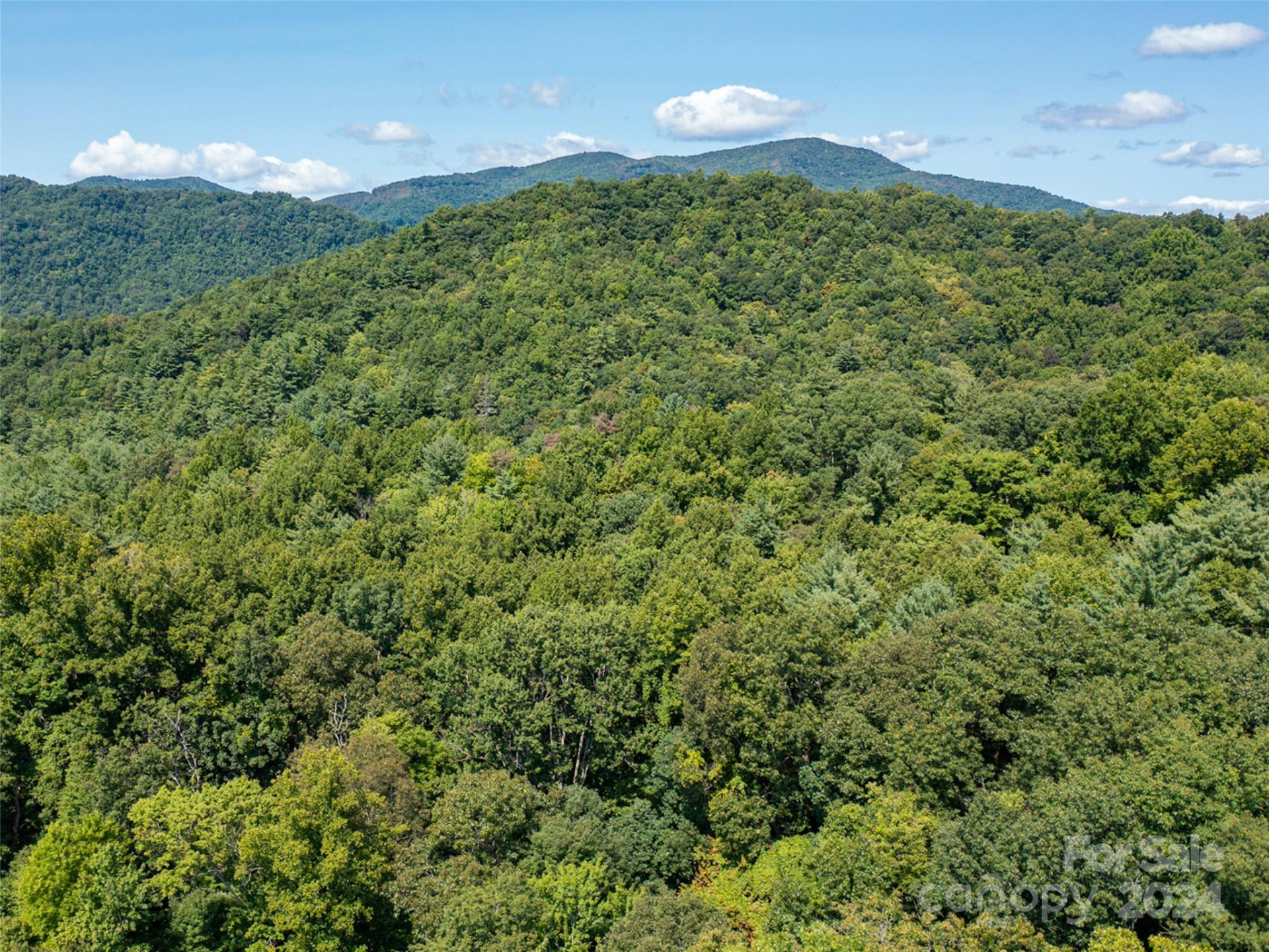 00000 Meadow Fork School Road - Photo 22