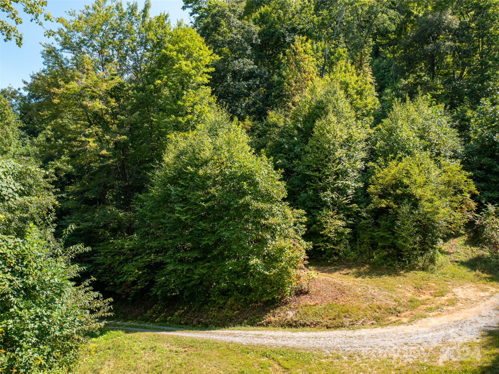 00000 Meadow Fork School Road - Photo 5