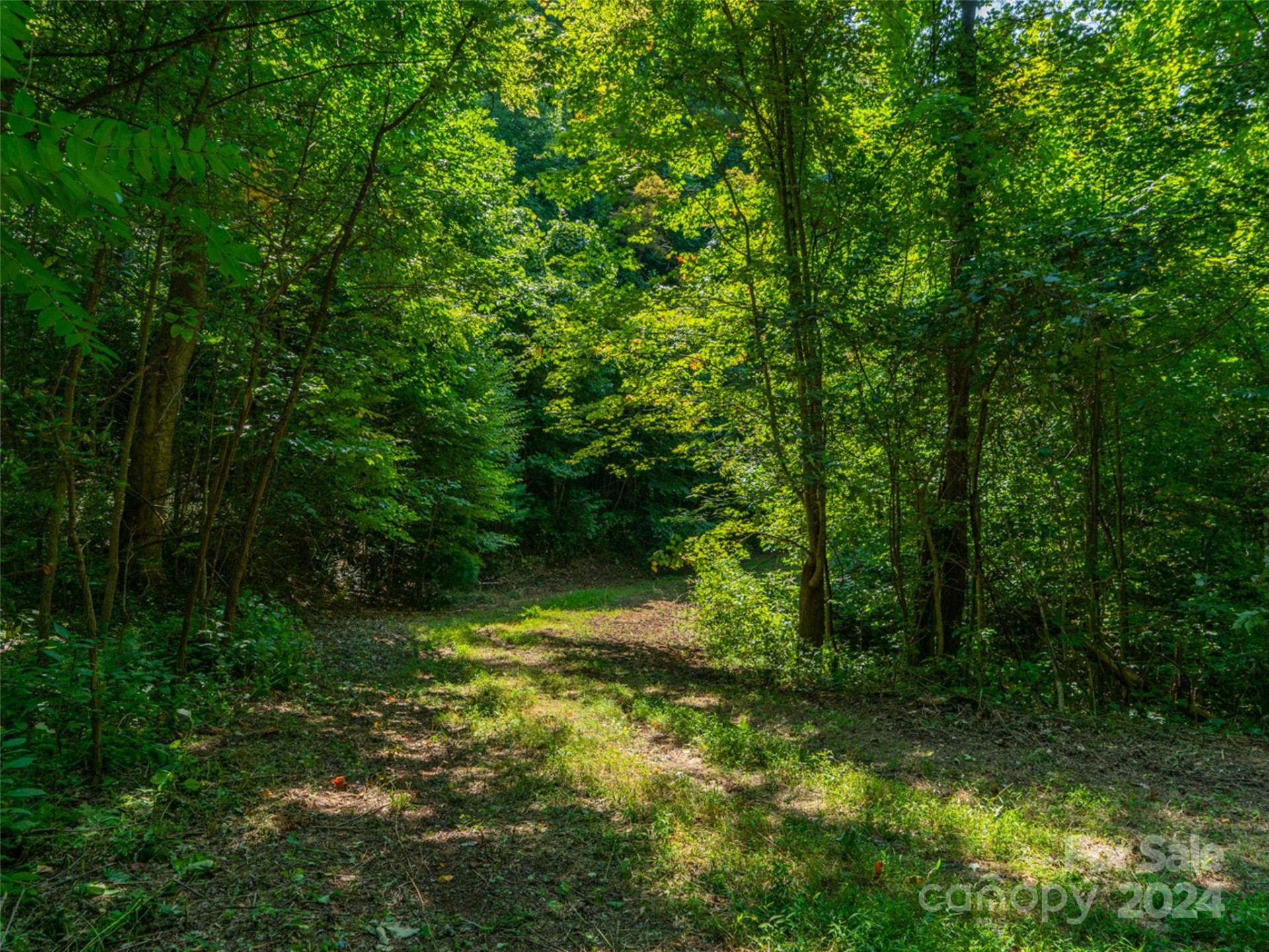 00000 Meadow Fork School Road - Photo 6