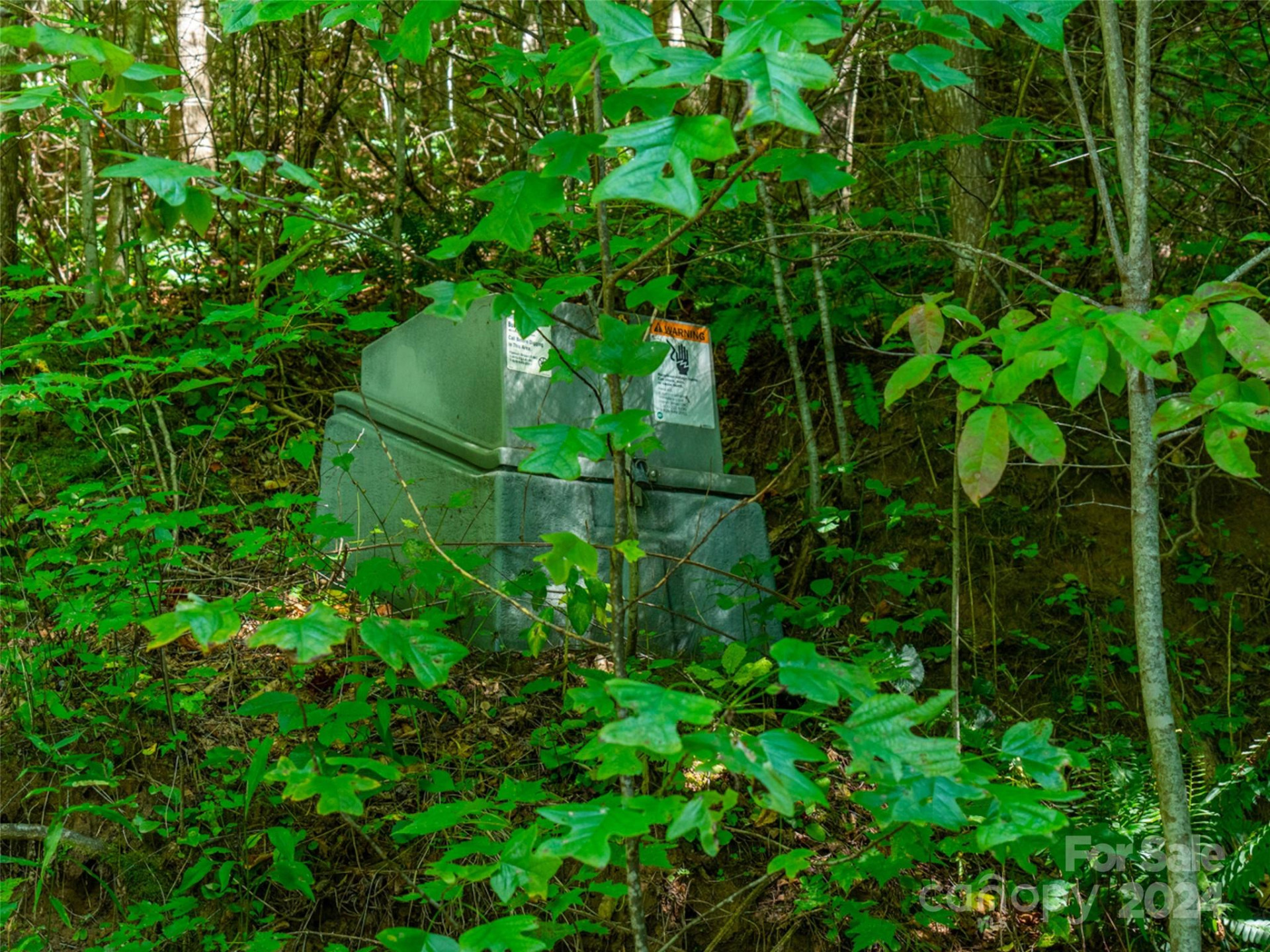 00000 Meadow Fork School Road - Photo 7