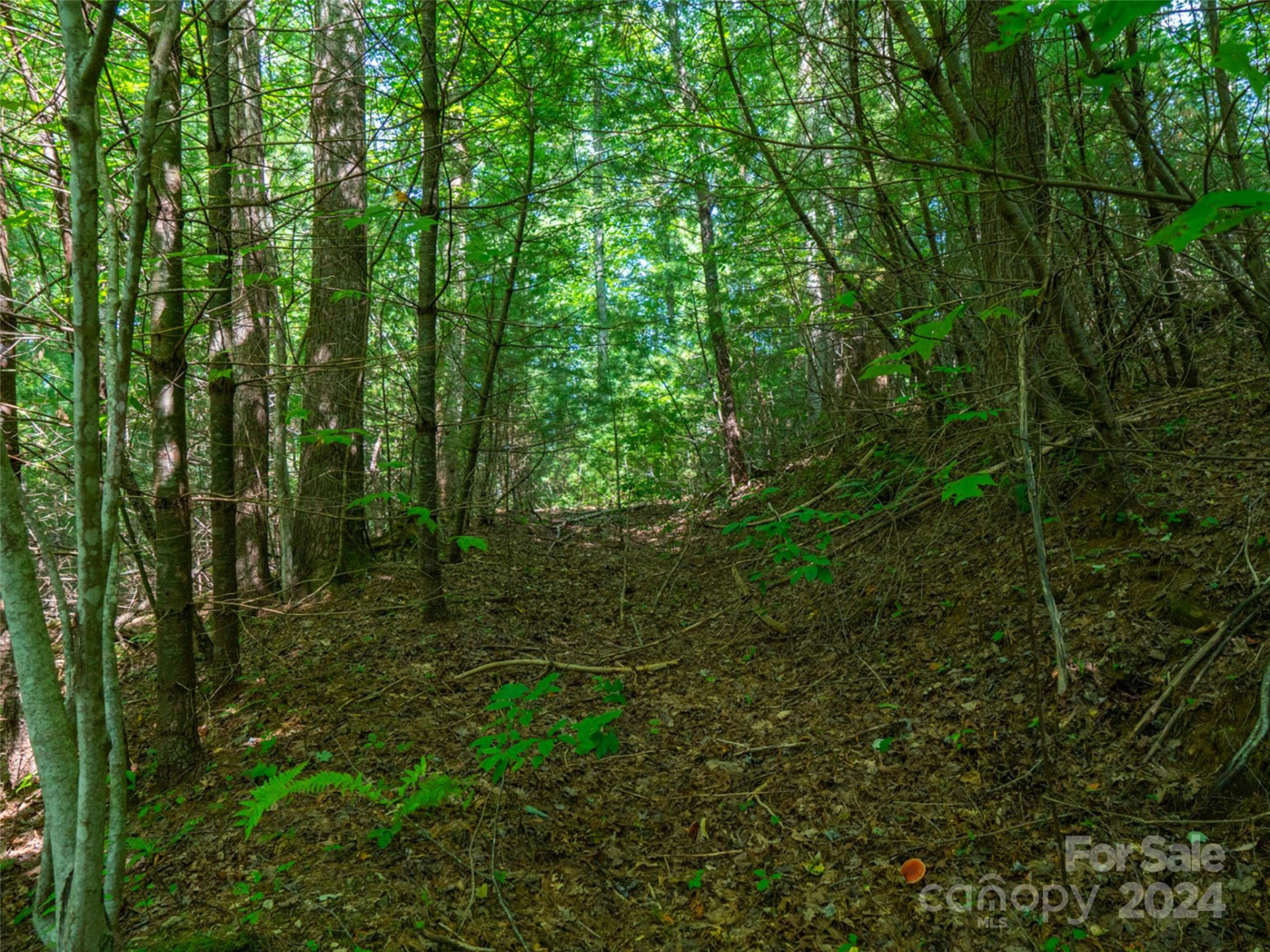 00000 Meadow Fork School Road - Photo 8