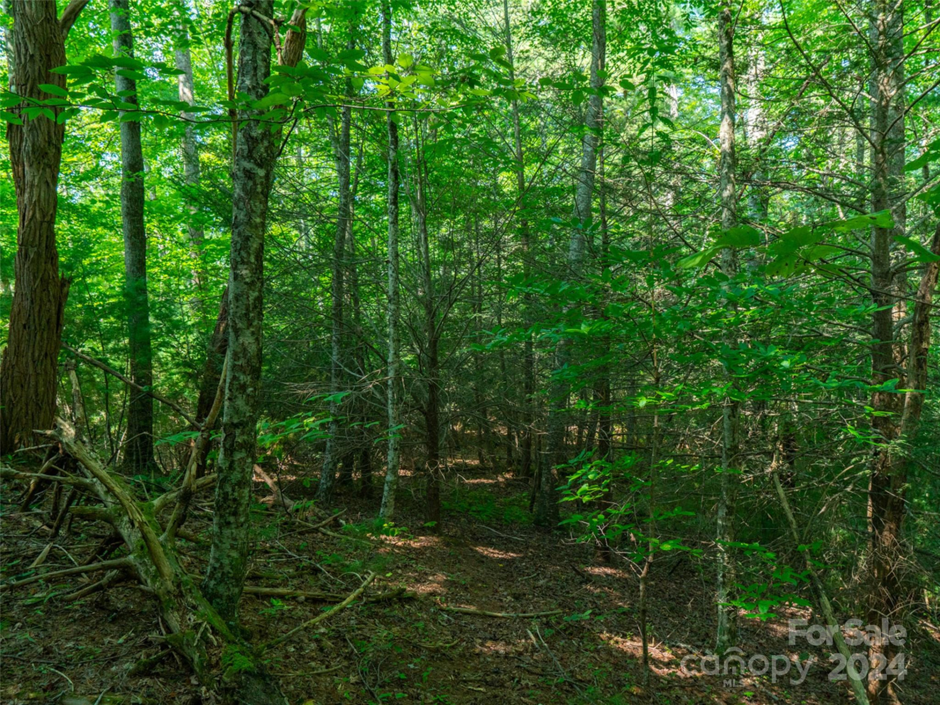 00000 Meadow Fork School Road - Photo 9