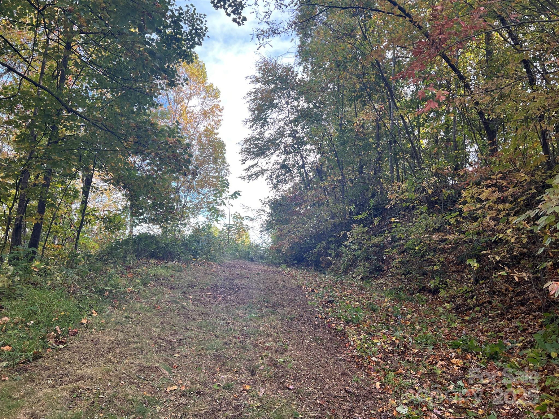 2687 Creston Drive #T-26 - Photo 13