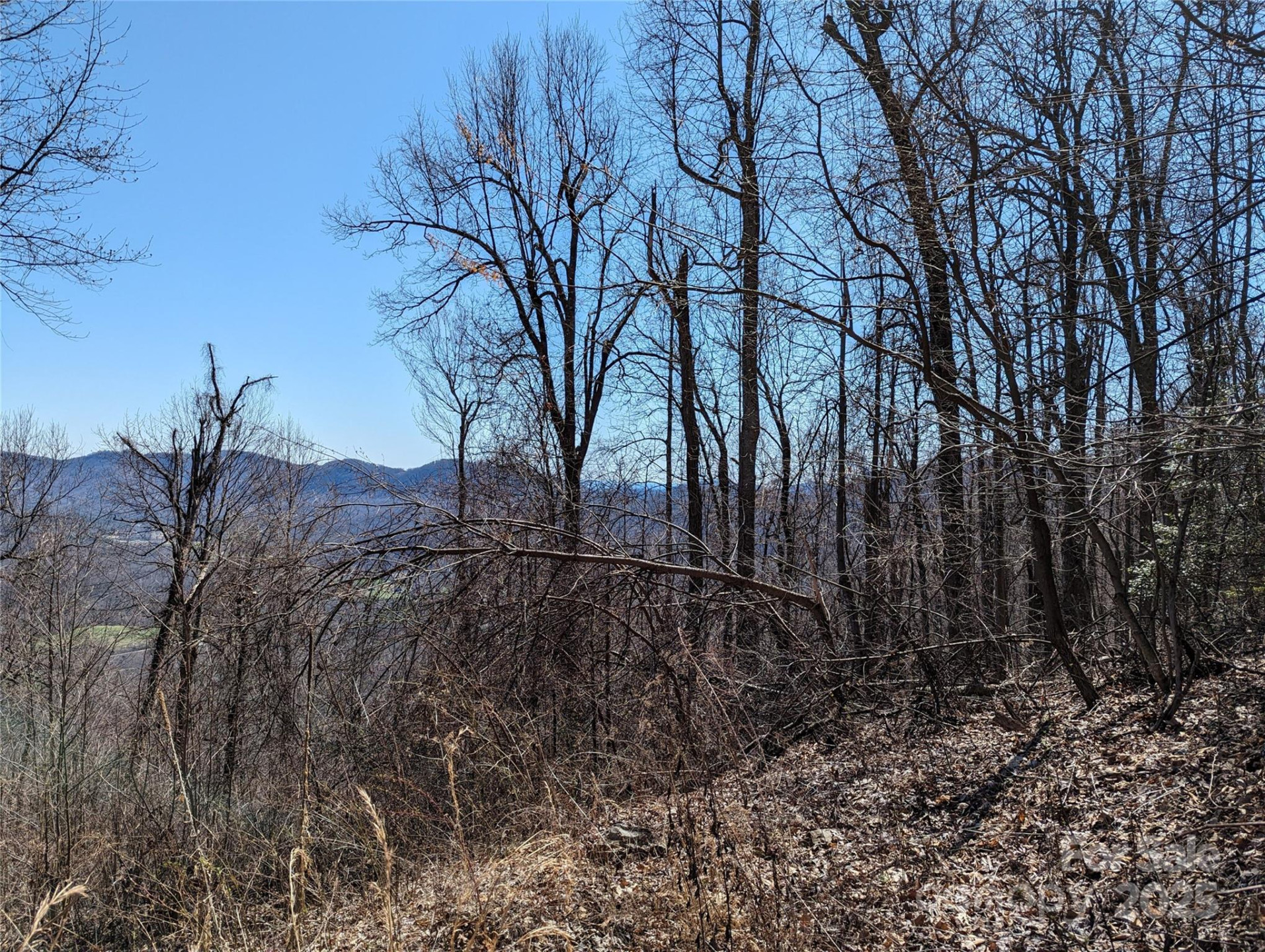 2687 Creston Drive #T-26 - Photo 3