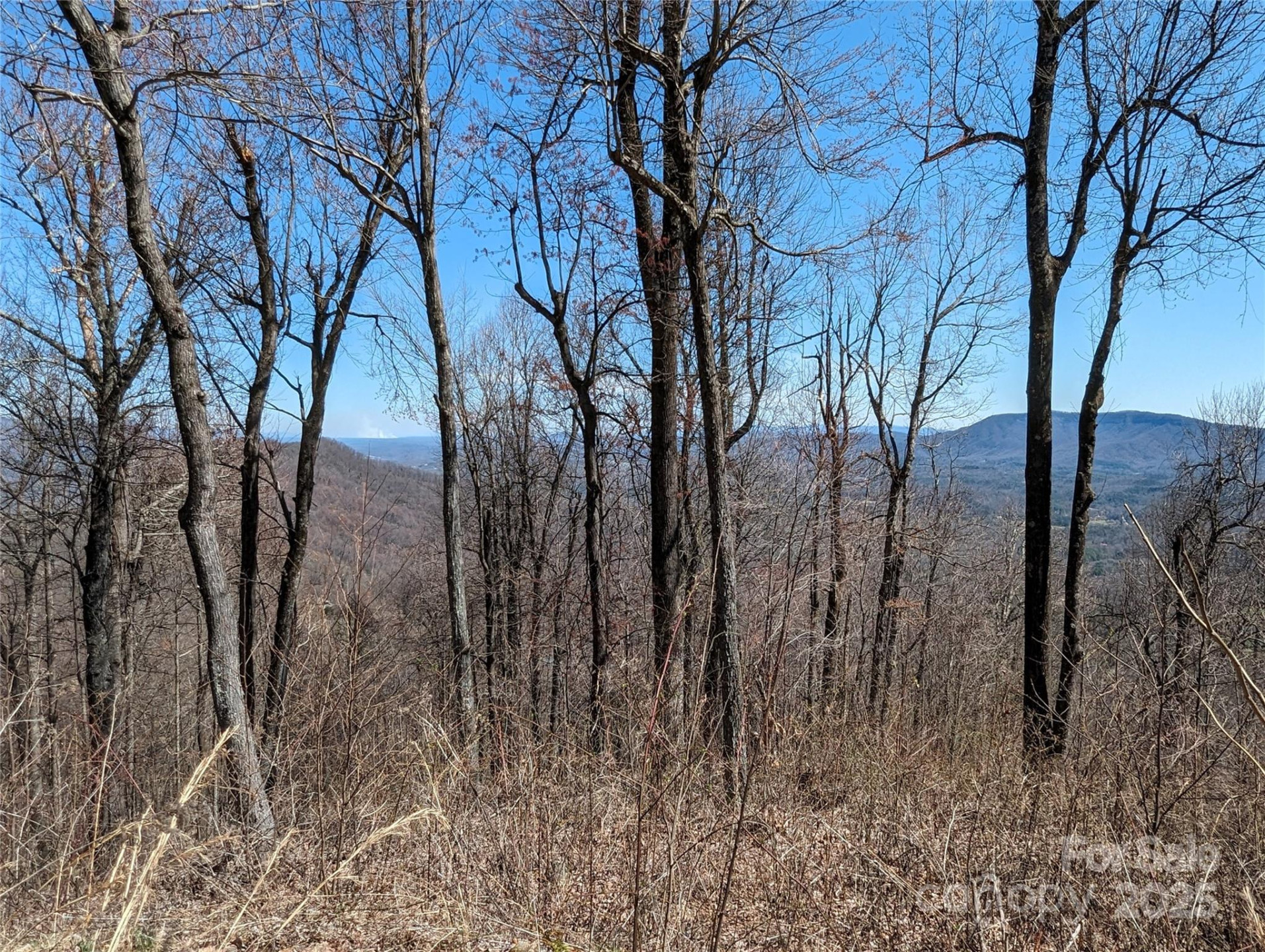 2687 Creston Drive #T-26 - Photo 21