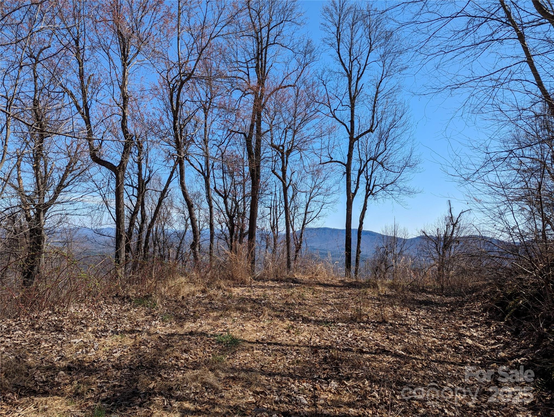 2687 Creston Drive #T-26 - Photo 22