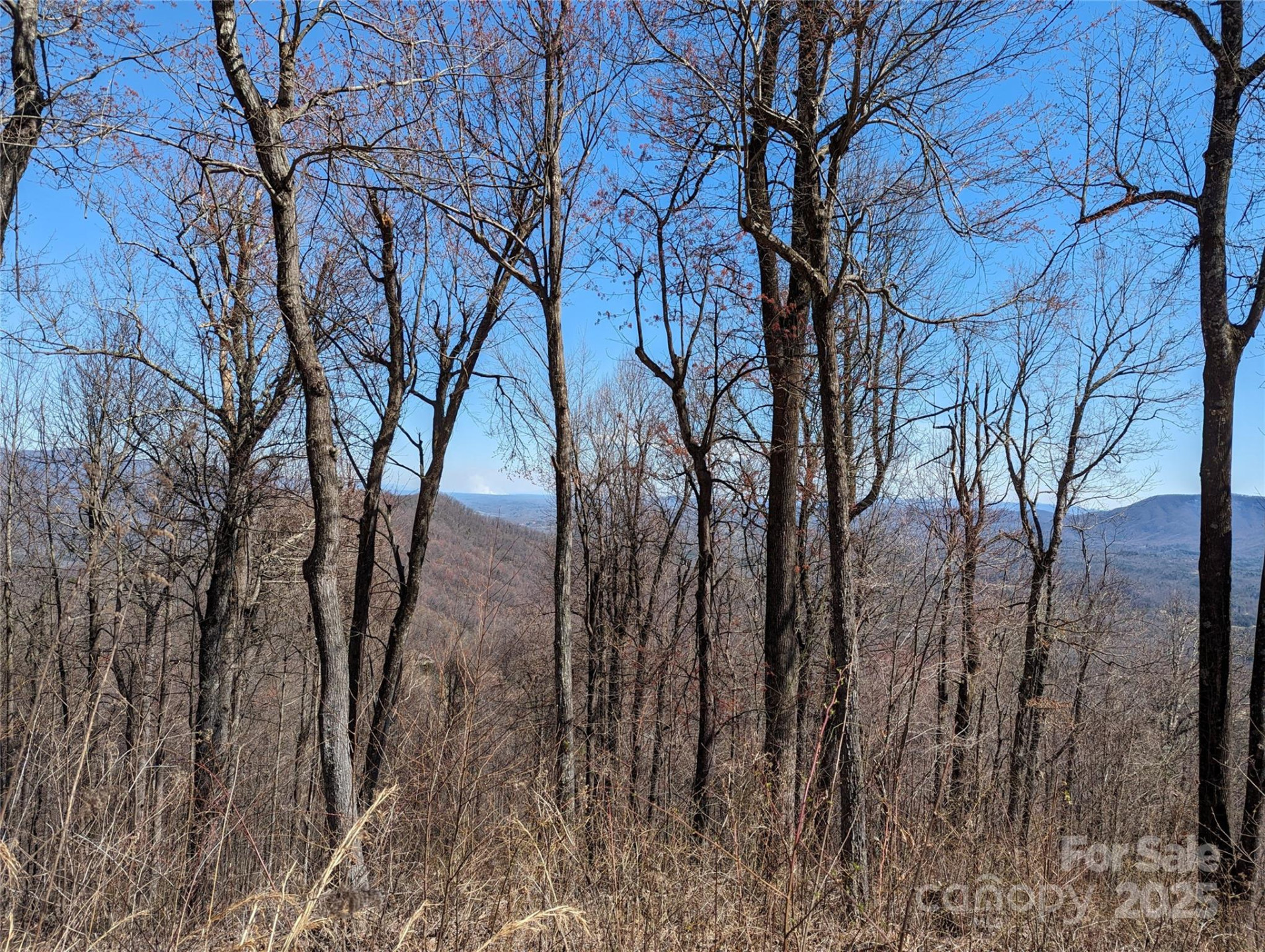 2687 Creston Drive #T-26 - Photo 23