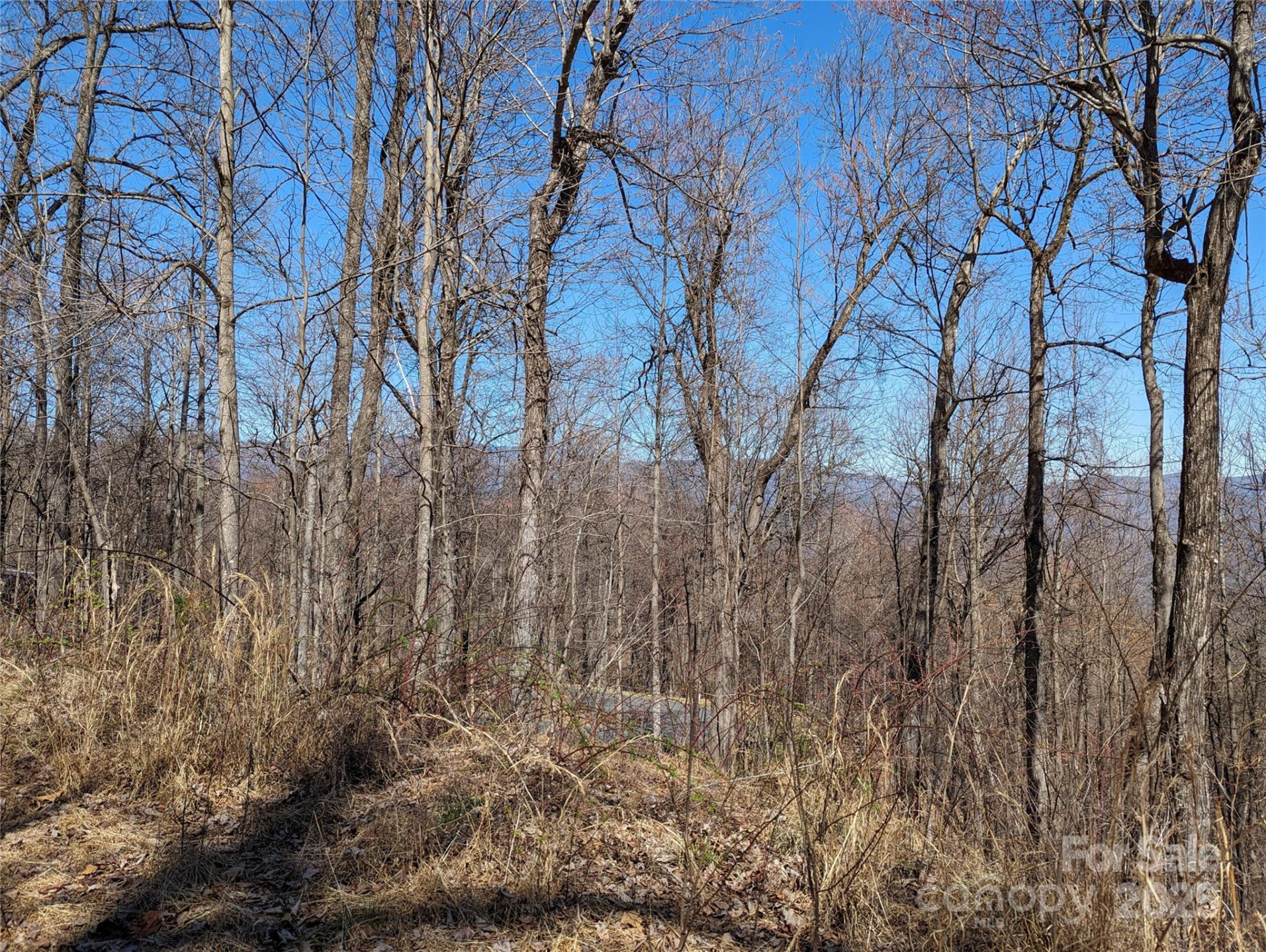 2687 Creston Drive #T-26 - Photo 24