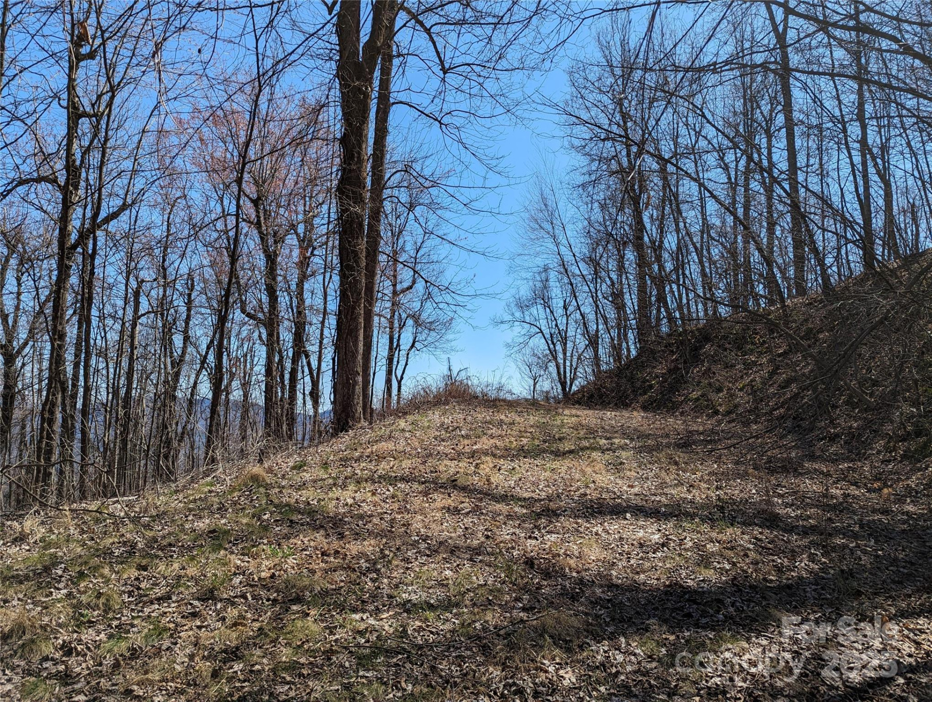 2687 Creston Drive #T-26 - Photo 25