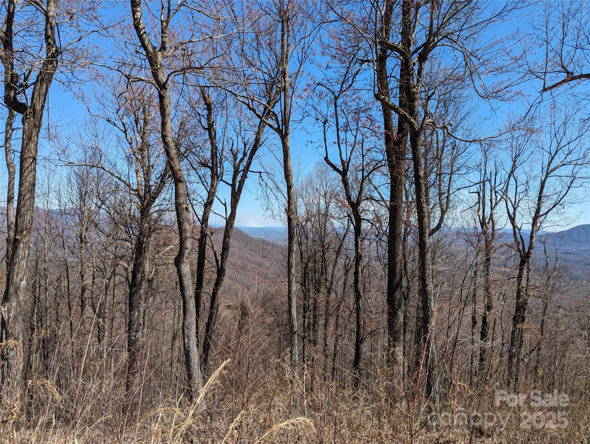 2687 Creston Drive #T-26 - Photo 27