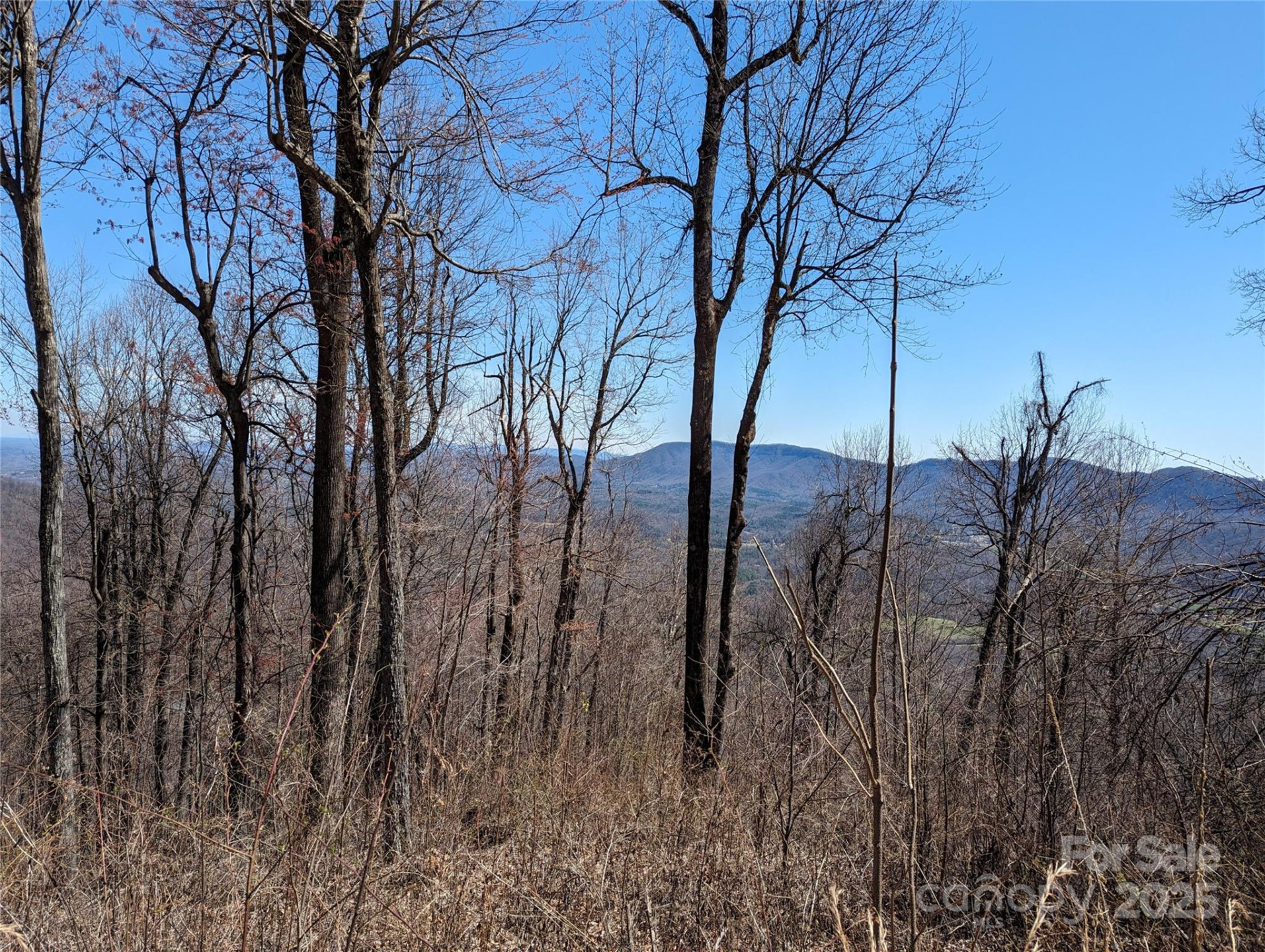 2687 Creston Drive #T-26 - Photo 4