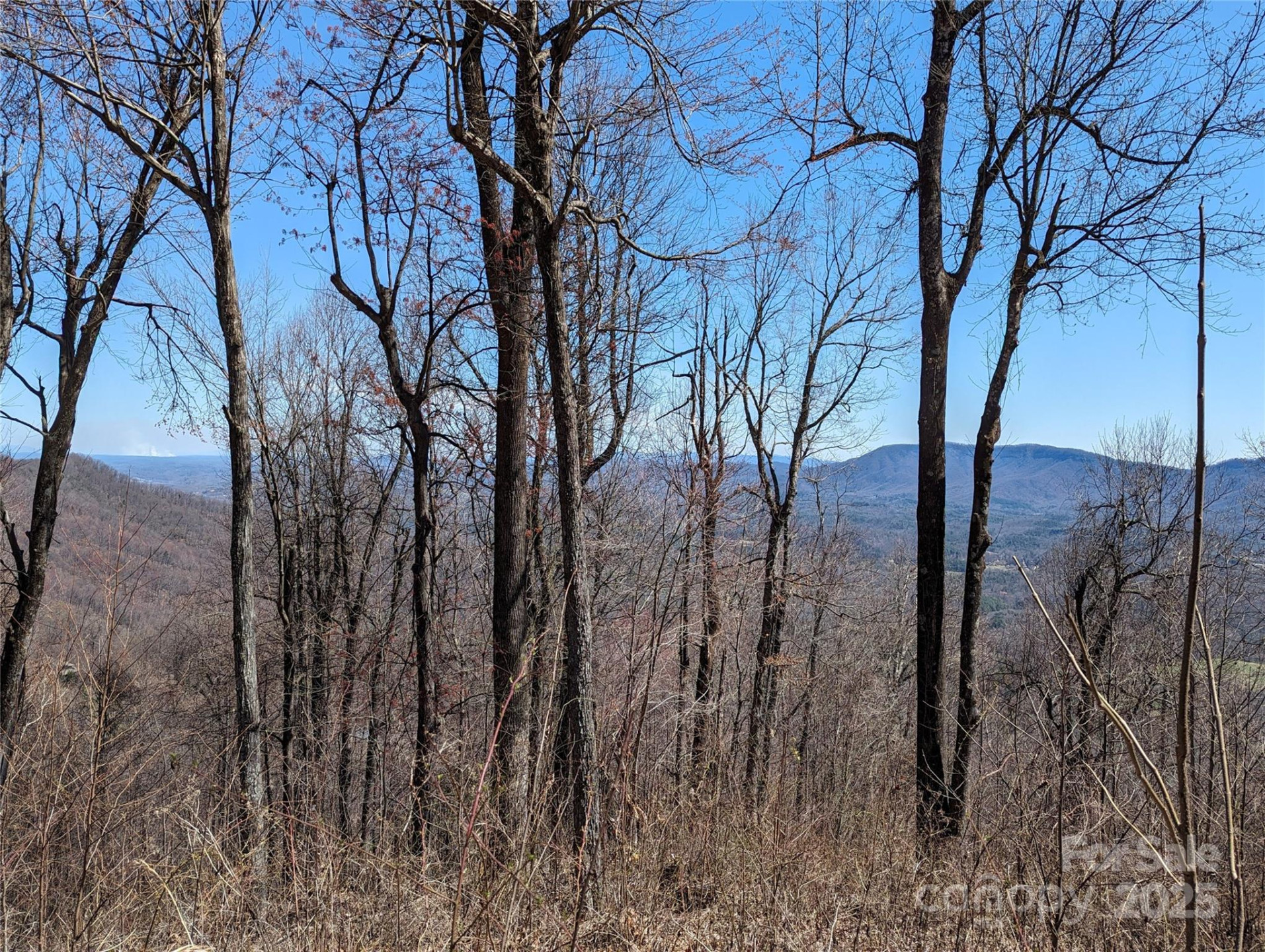 2687 Creston Drive #T-26 - Photo 5