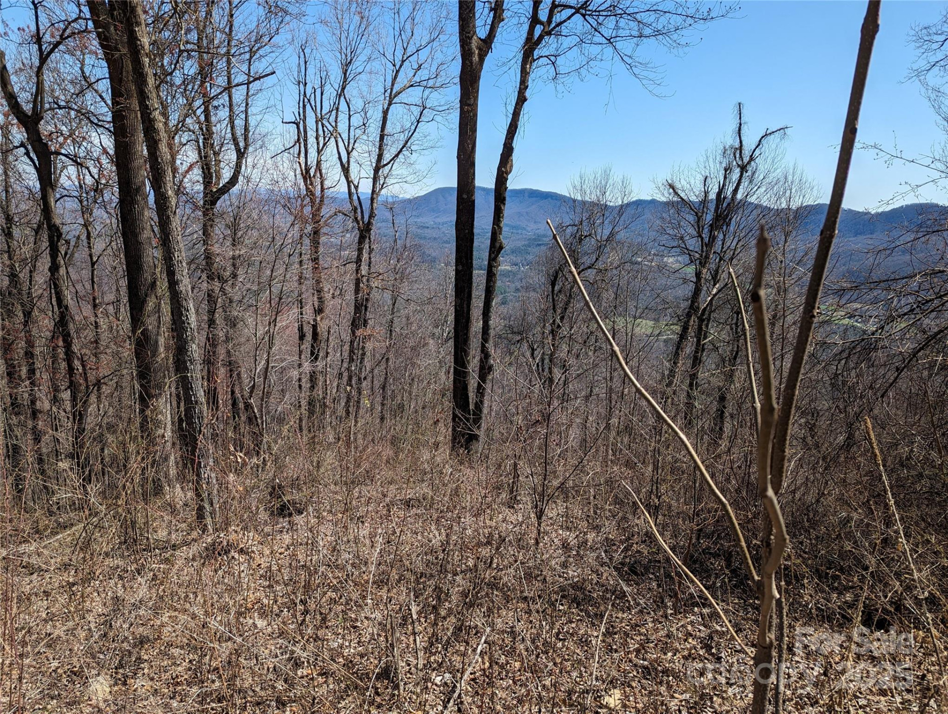 2687 Creston Drive #T-26 - Photo 6