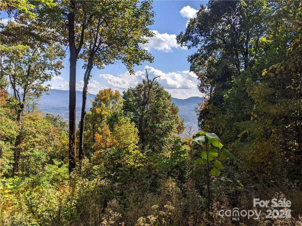 2687 Creston Drive #T-26 - Photo 7