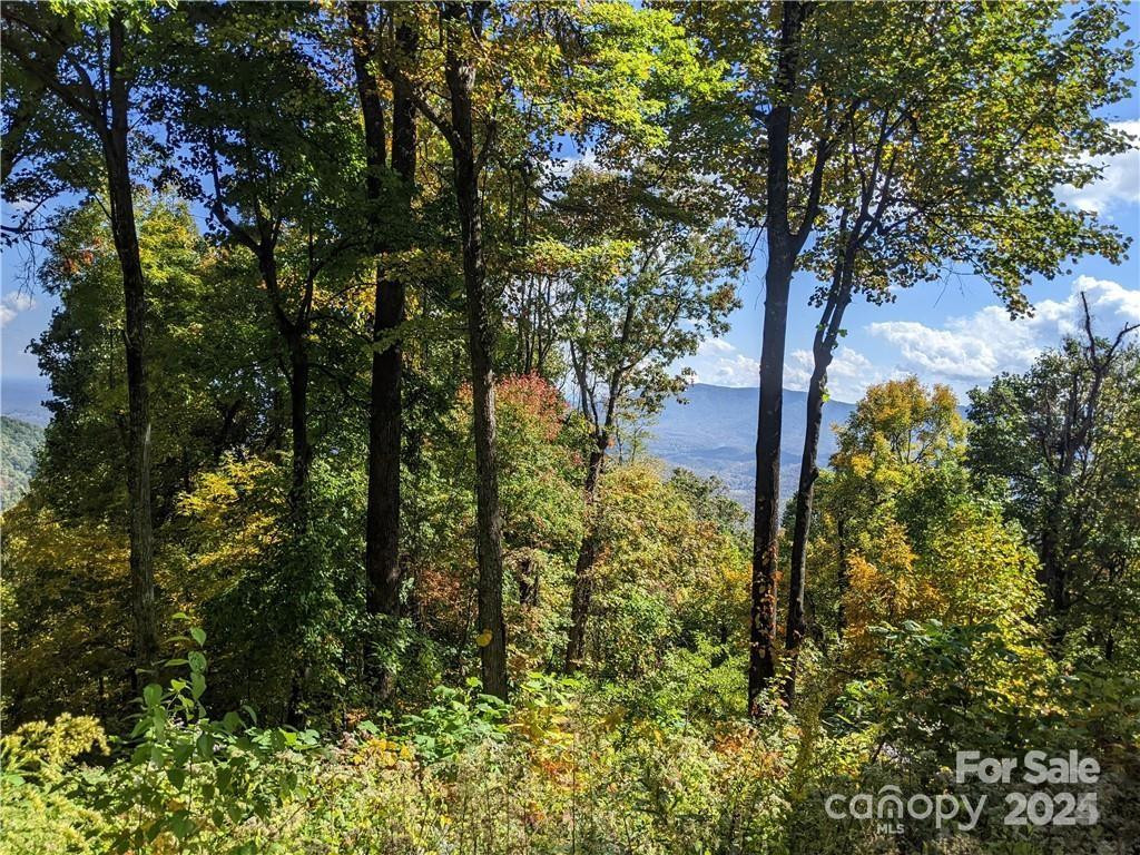 2687 Creston Drive #T-26 - Photo 8