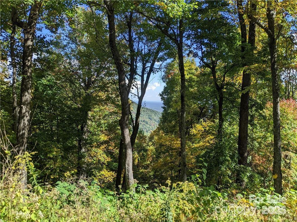 2687 Creston Drive #T-26 - Photo 9