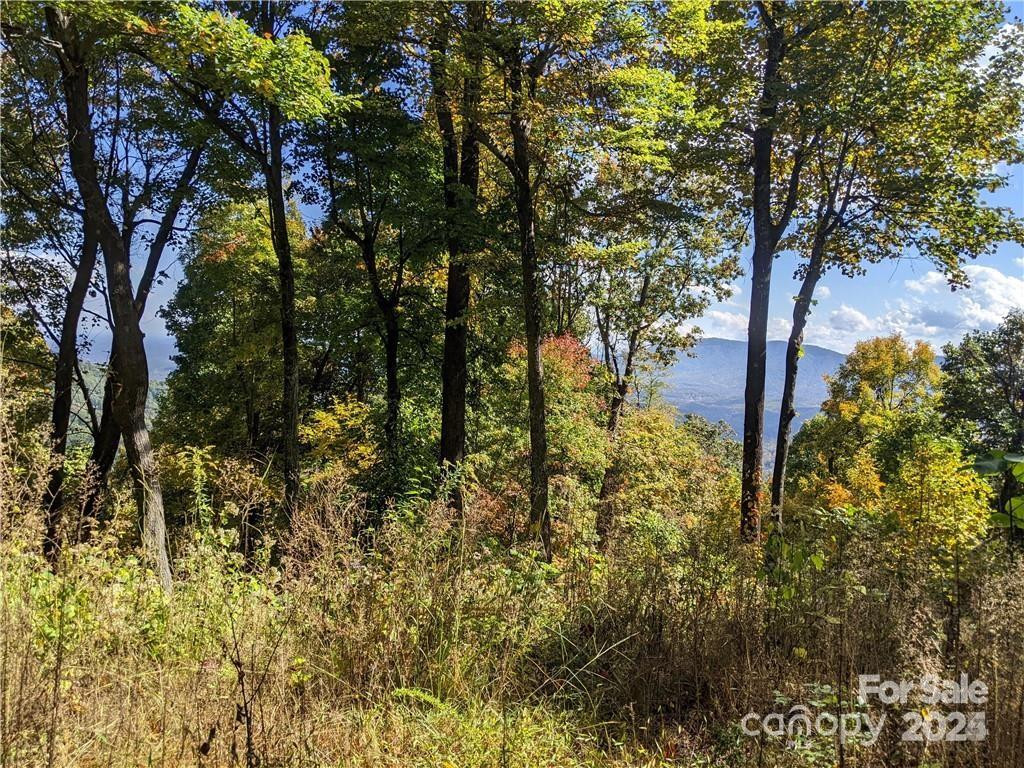 2687 Creston Drive #T-26 - Photo 10