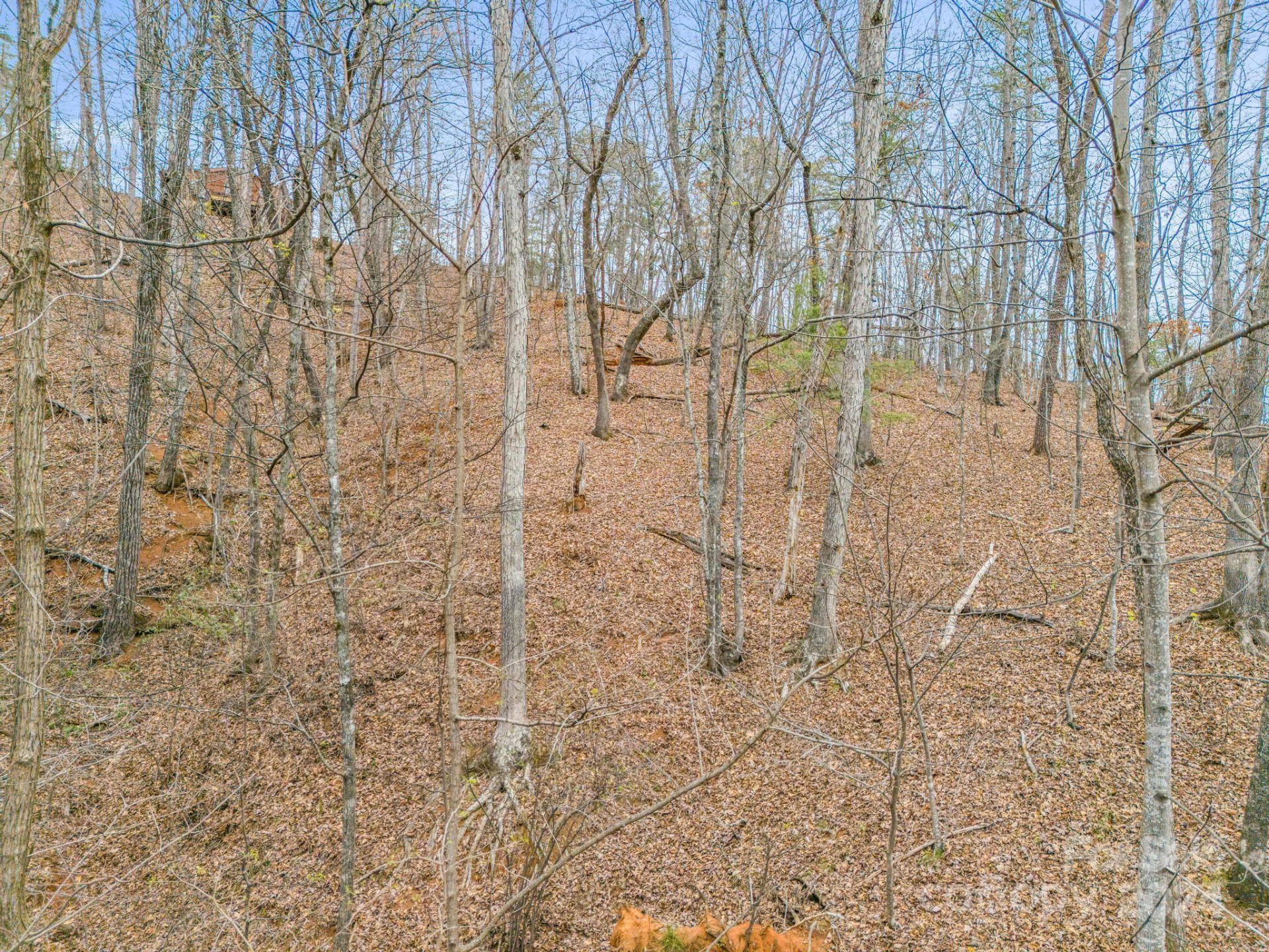 0 Holmes Road - Photo 11