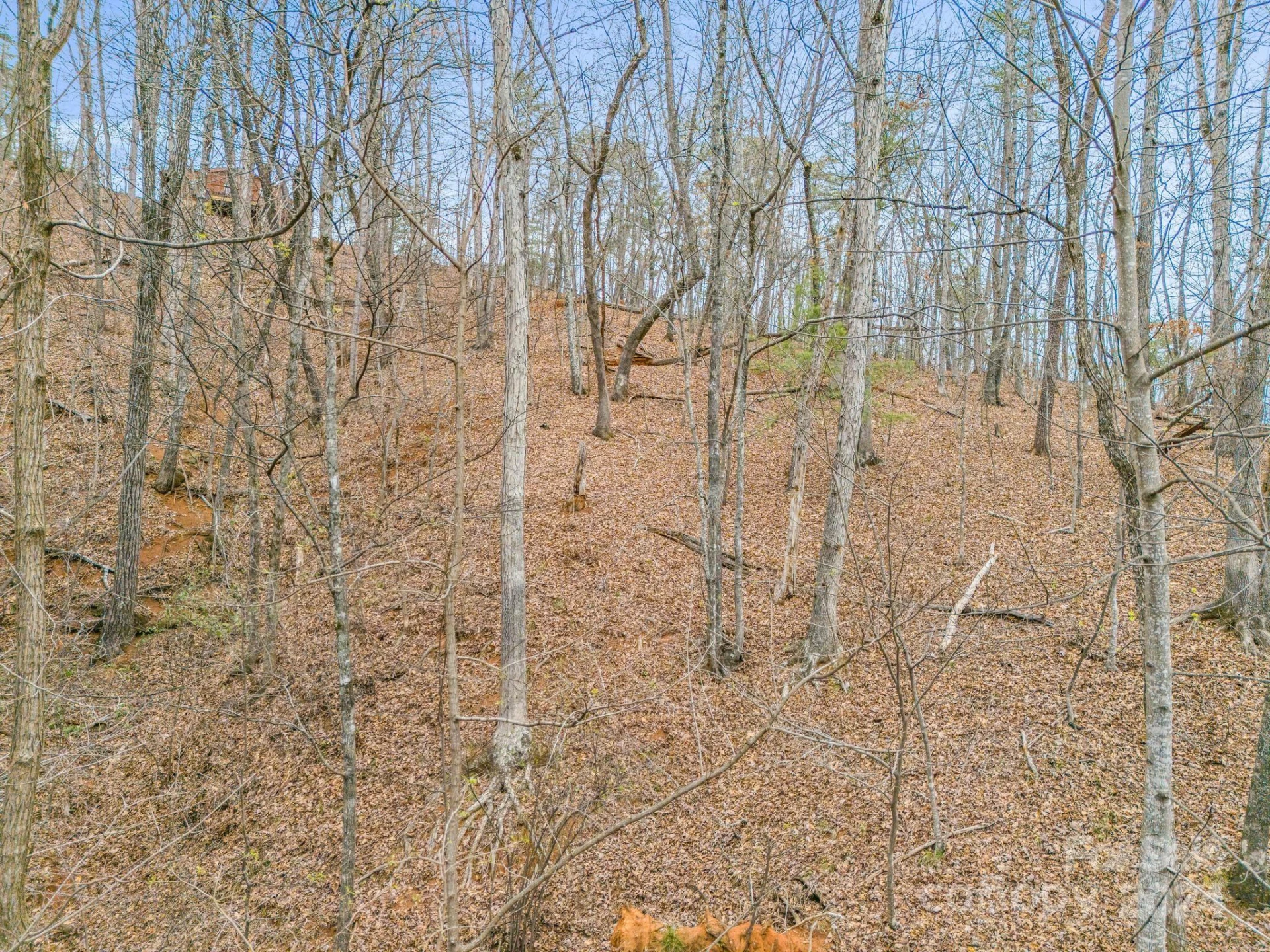 0 Holmes Road - Photo 11