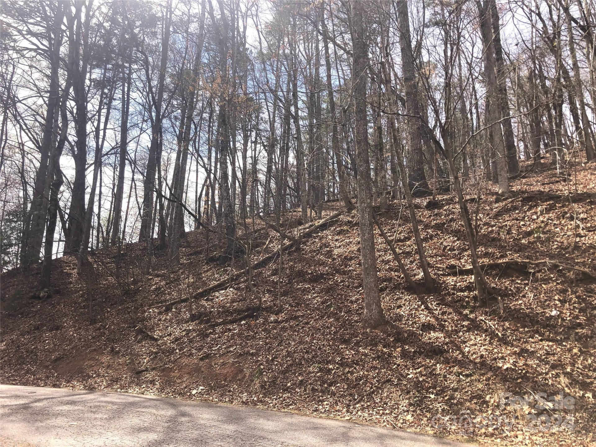 0 Holmes Road - Photo 15