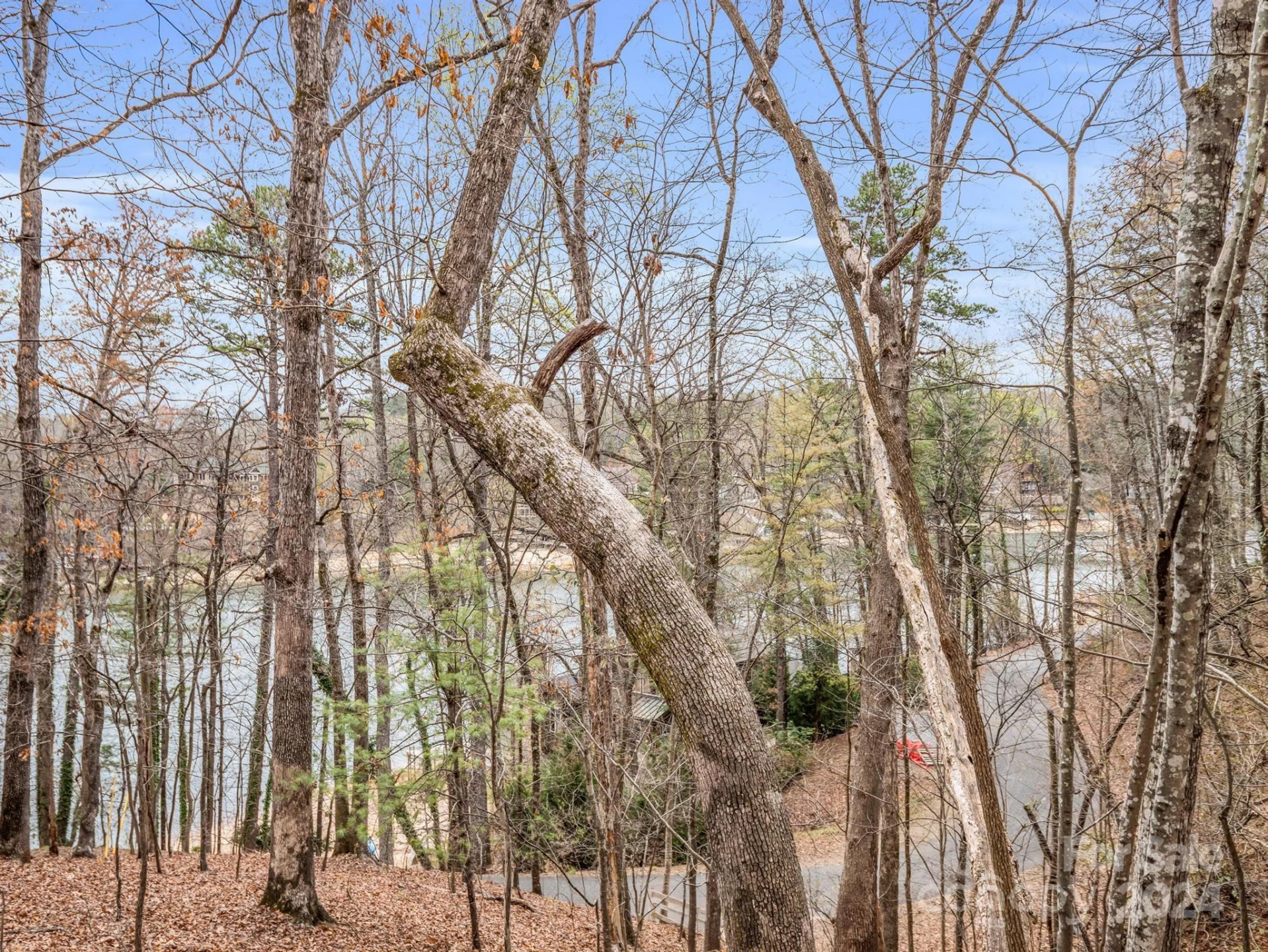 0 Holmes Road - Photo 6