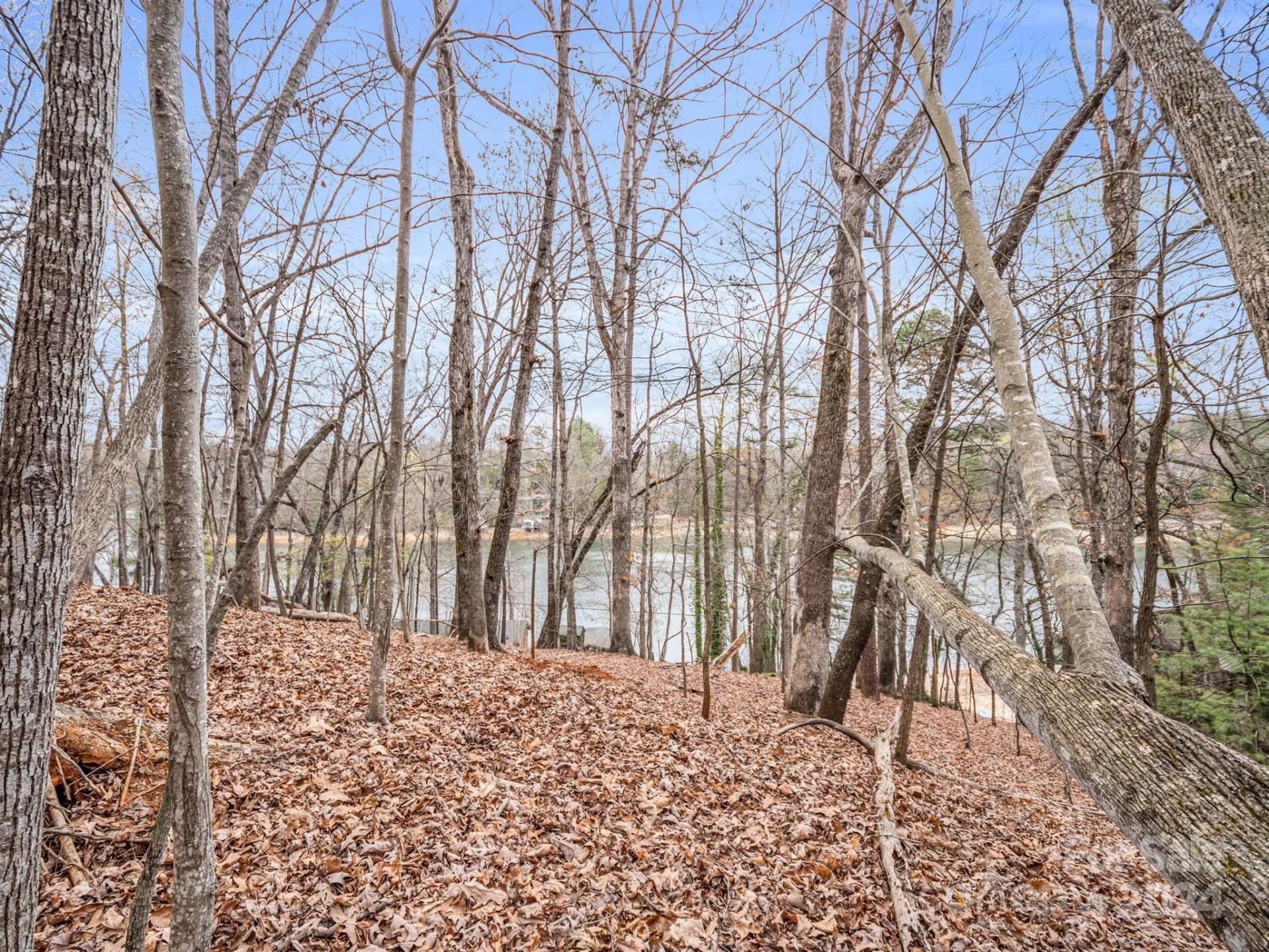 0 Holmes Road - Photo 7