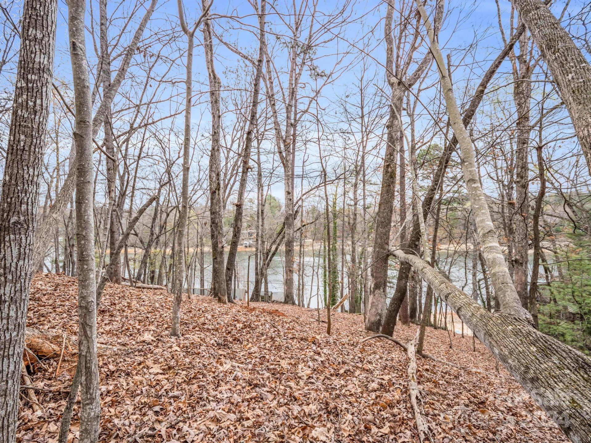 0 Holmes Road - Photo 7