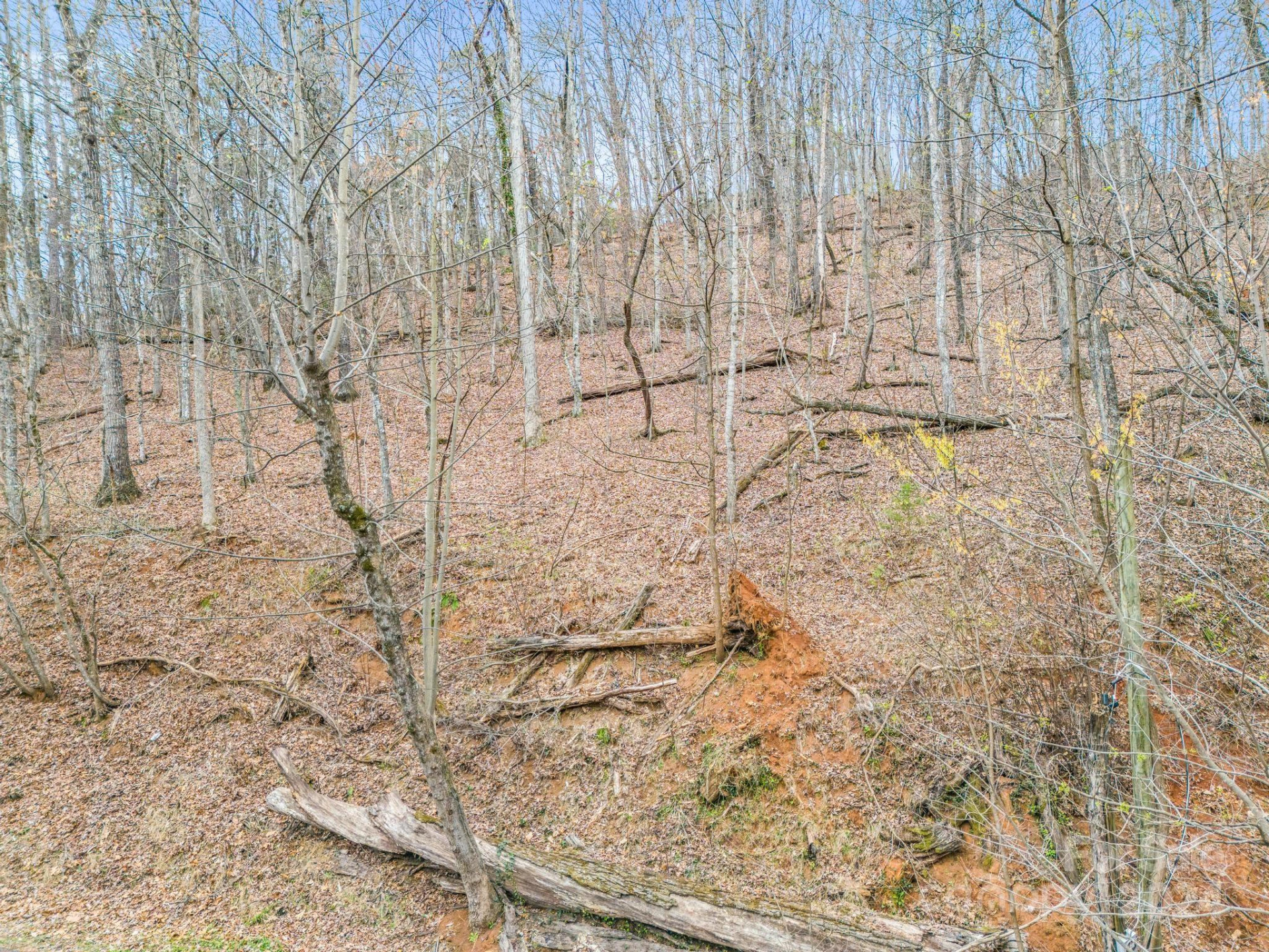 0 Holmes Road - Photo 9