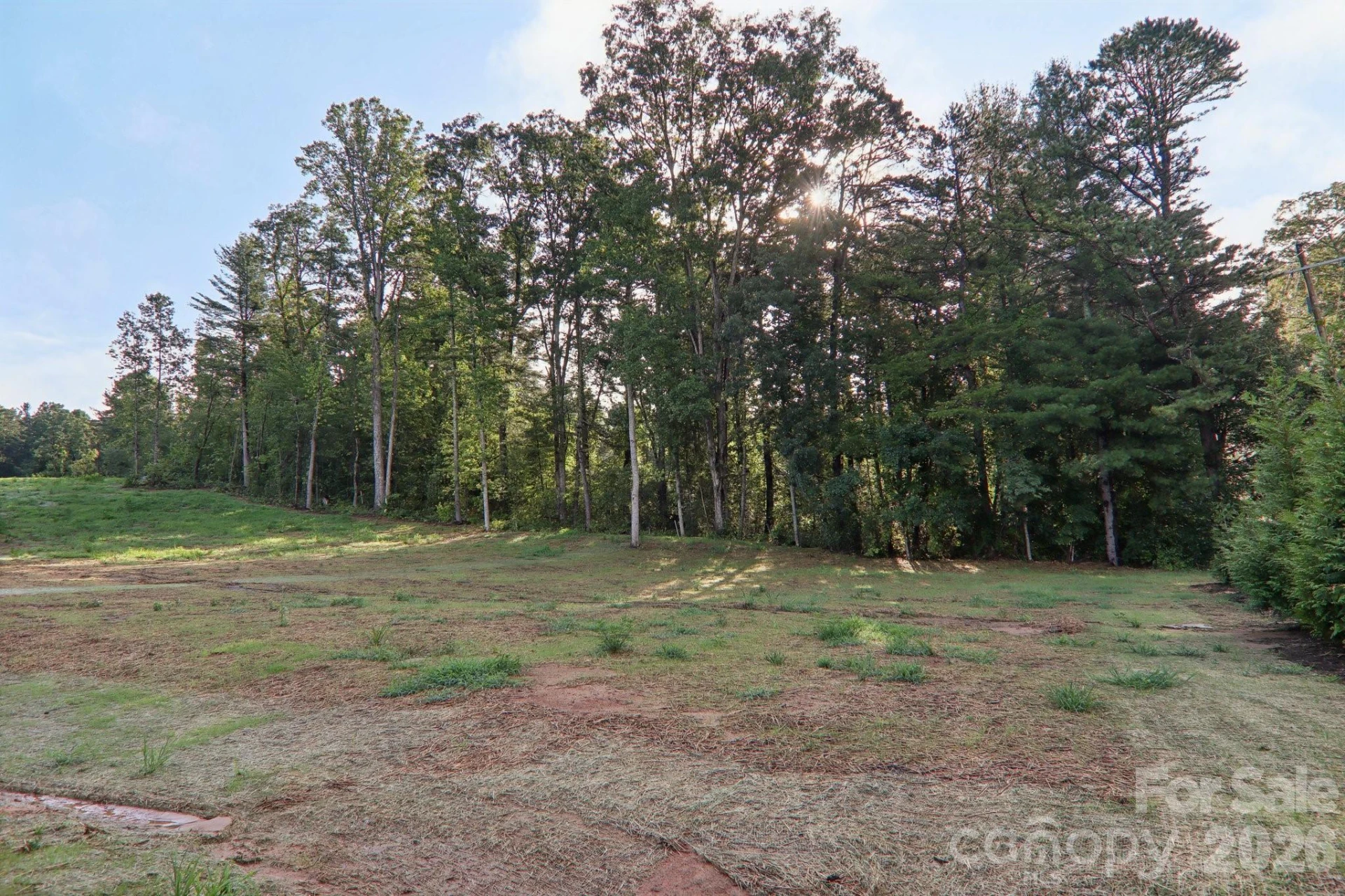20 Maple Knoll Drive - Photo 22