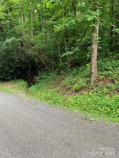 Lot 45-46 Mckenzie Way #45-46 - Photo 7