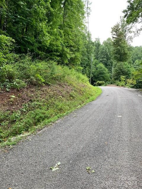 Lot 45-46 Mckenzie Way #45-46 - Photo 9