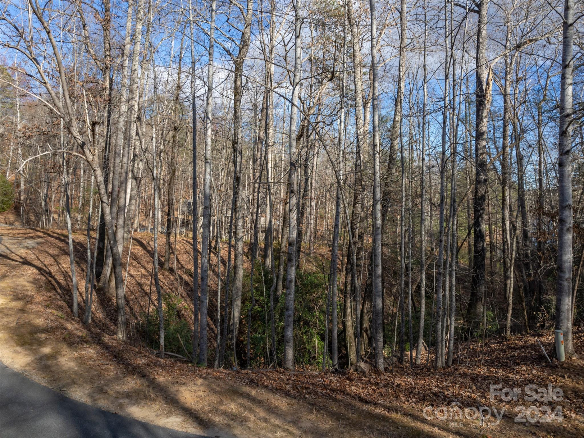 86 Lakewood Drive #86 - Photo 20