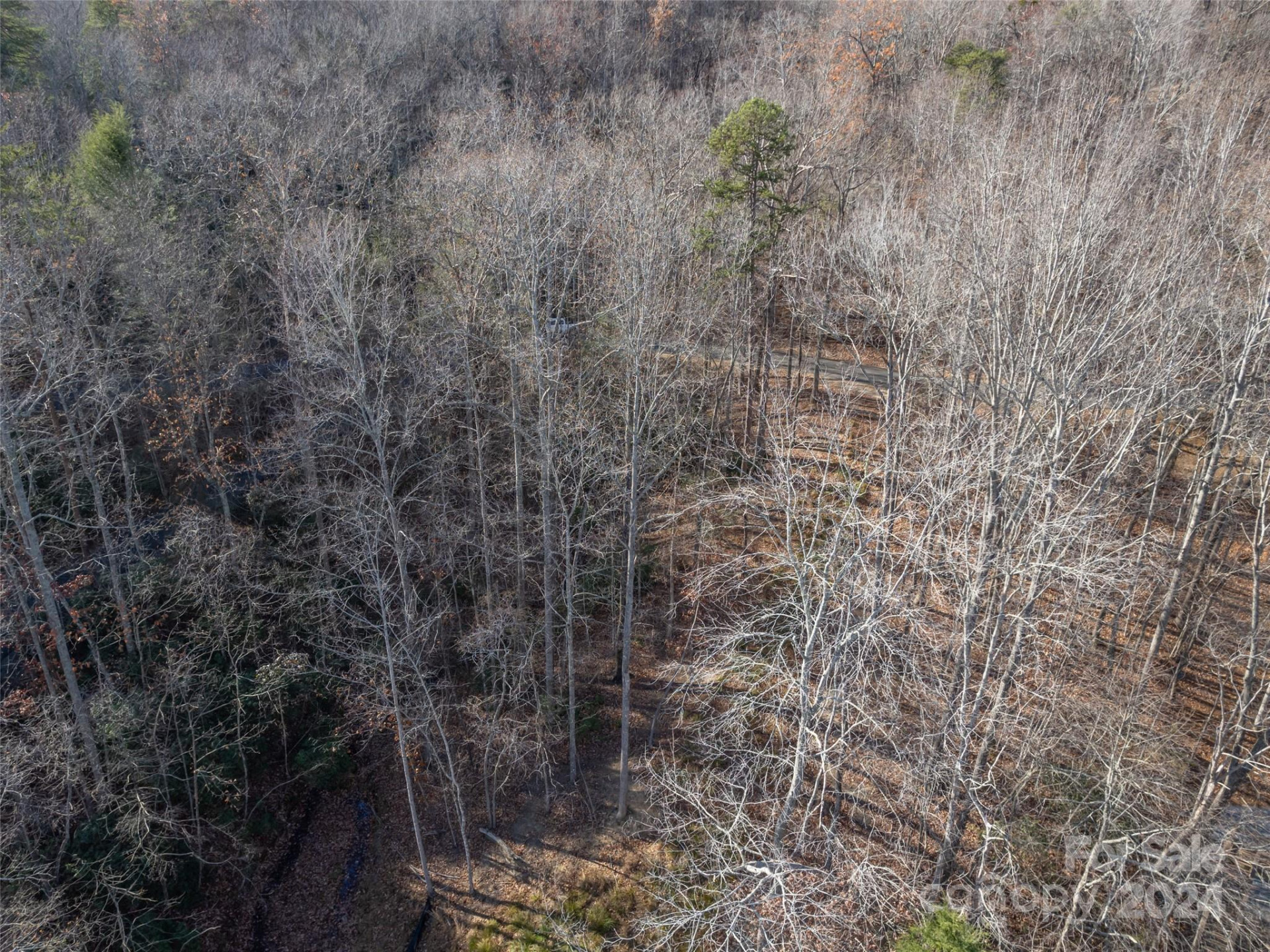 86 Lakewood Drive #86 - Photo 4