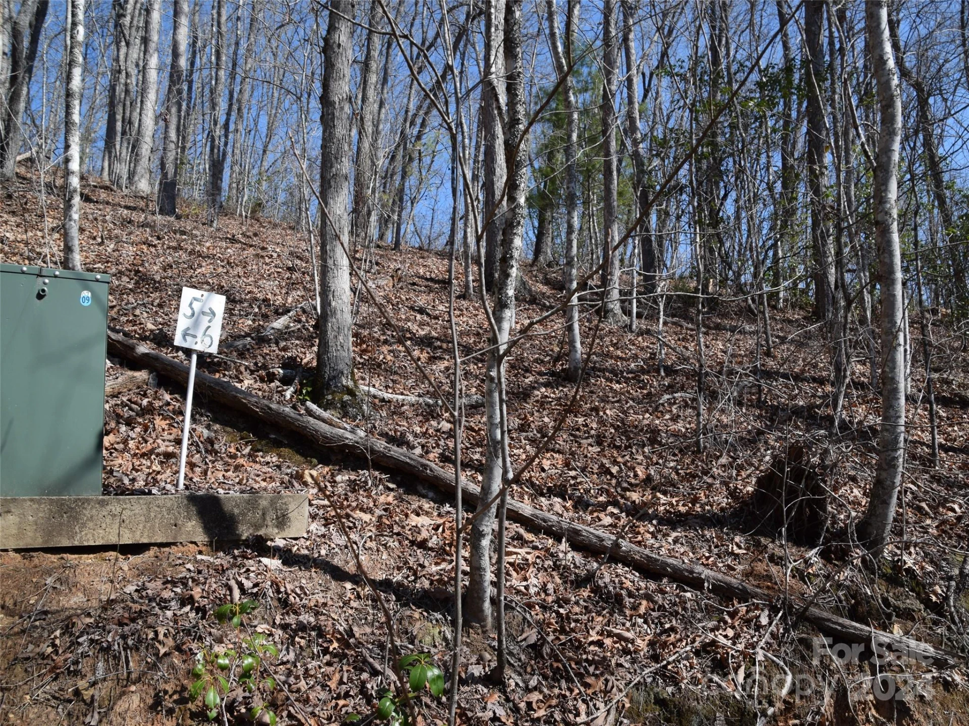 Lot 5 Horseshoe Bluff - Photo 2