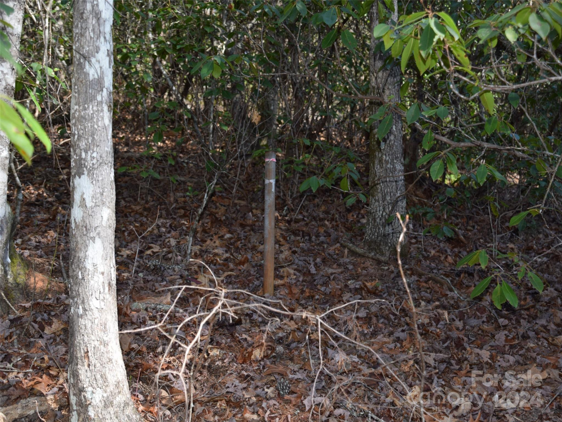 Lot 5 Horseshoe Bluff - Photo 11
