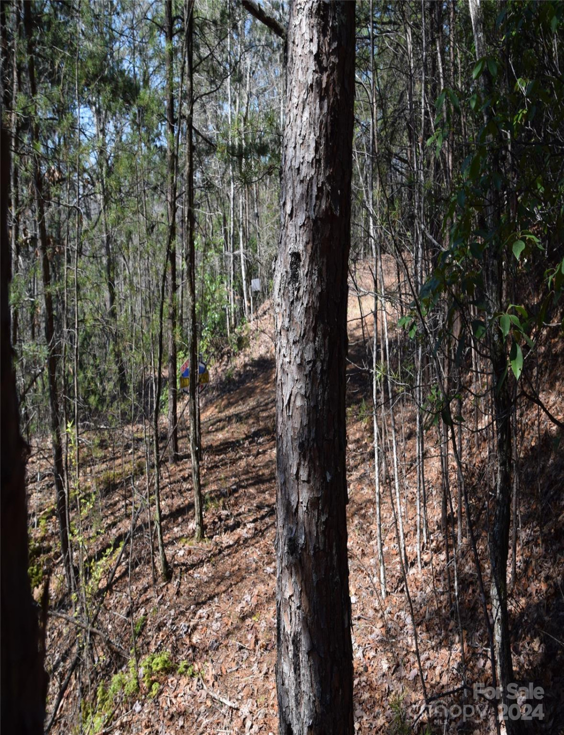 Lot 5 Horseshoe Bluff - Photo 12